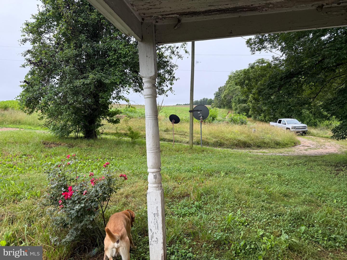 884 RED OAK SCHOOL RD, RUSTBURG, Virginia 24588, 4 Bedrooms Bedrooms, ,2 BathroomsBathrooms,Residential,For sale,884 RED OAK SCHOOL RD,VACP2000088 MLS # VACP2000088