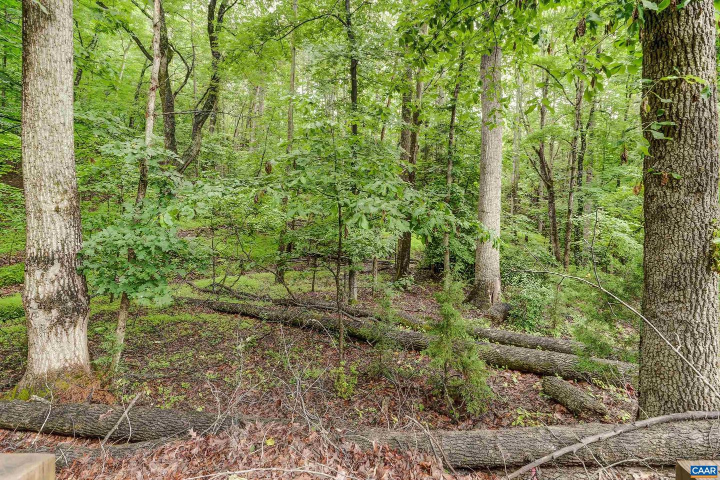7160 BURNT MOUNTAIN RD, AFTON, Virginia 22920, 3 Bedrooms Bedrooms, ,3 BathroomsBathrooms,Residential,For sale,7160 BURNT MOUNTAIN RD,665903 MLS # 665903
