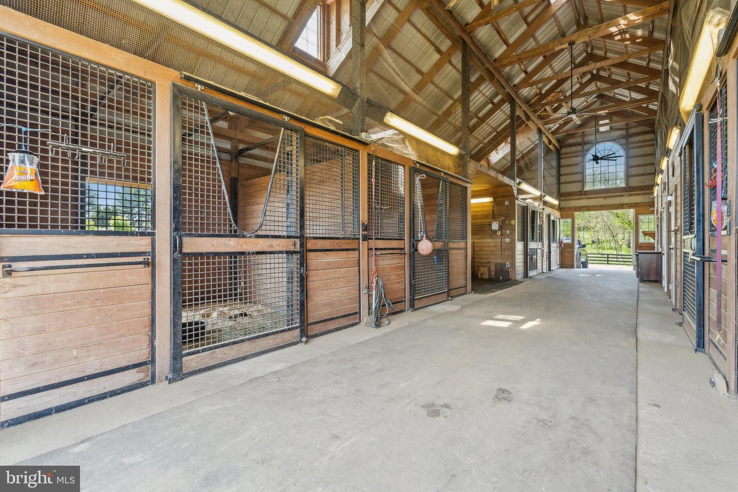 20011 PLEASANT MEADOW LN, PURCELLVILLE, Virginia 20132, 5 Bedrooms Bedrooms, ,5 BathroomsBathrooms,Farm,For sale,20011 PLEASANT MEADOW LN,VALO2100096 MLS # VALO2100096