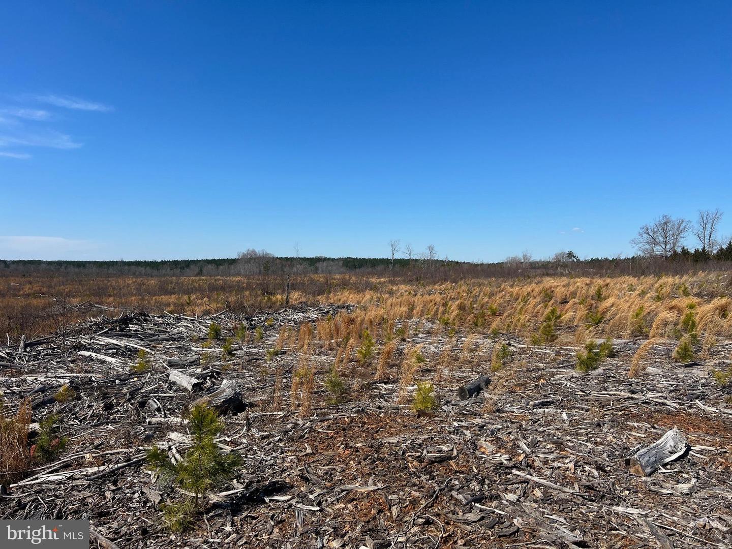 0 ORAL OAKS RD, KENBRIDGE, Virginia 23944, ,Land,For sale,0 ORAL OAKS RD,VALB2000042 MLS # VALB2000042
