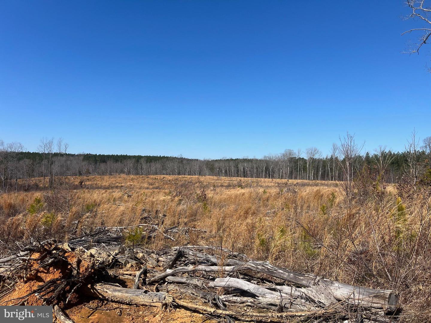 0 ORAL OAKS RD, KENBRIDGE, Virginia 23944, ,Land,For sale,0 ORAL OAKS RD,VALB2000042 MLS # VALB2000042
