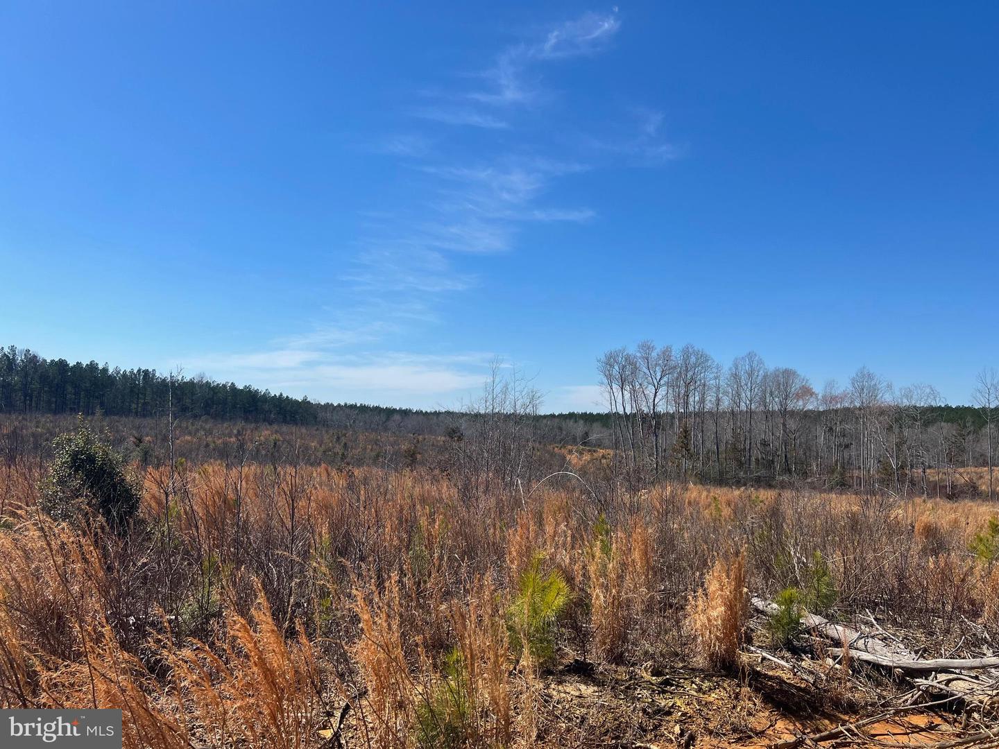 0 ORAL OAKS RD, KENBRIDGE, Virginia 23944, ,Land,For sale,0 ORAL OAKS RD,VALB2000042 MLS # VALB2000042