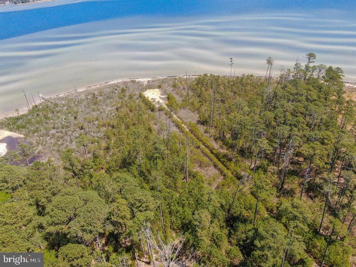 000 FLEETS BAY RD, RTE 650, WHITE STONE, Virginia 22578, ,Land,For sale,000 FLEETS BAY RD, RTE 650,VALV2000838 MLS # VALV2000838