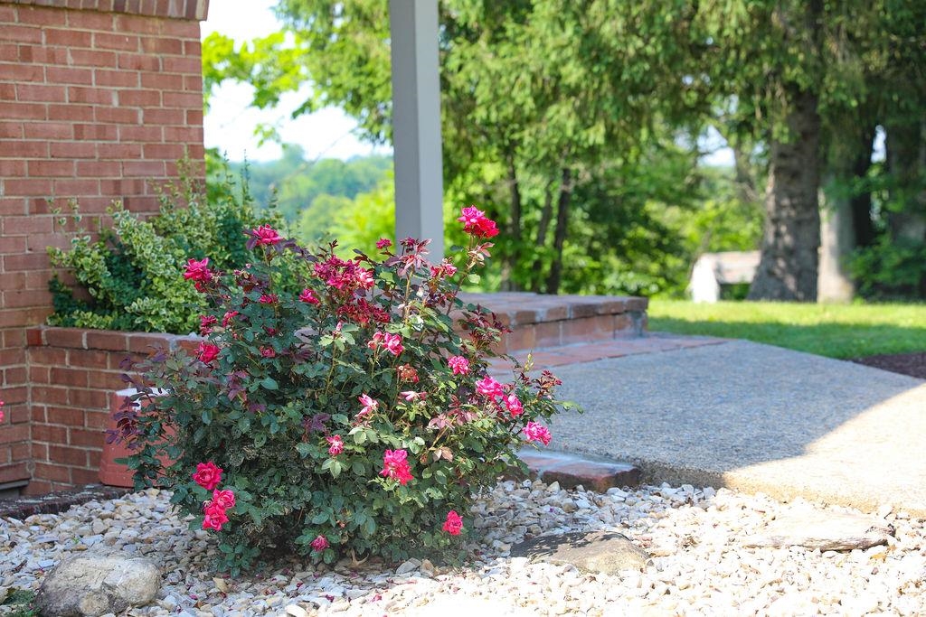 1601 BRUNSWICK RD, WAYNESBORO, Virginia 22980, 5 Bedrooms Bedrooms, ,2 BathroomsBathrooms,Residential,1601 BRUNSWICK RD,665927 MLS # 665927