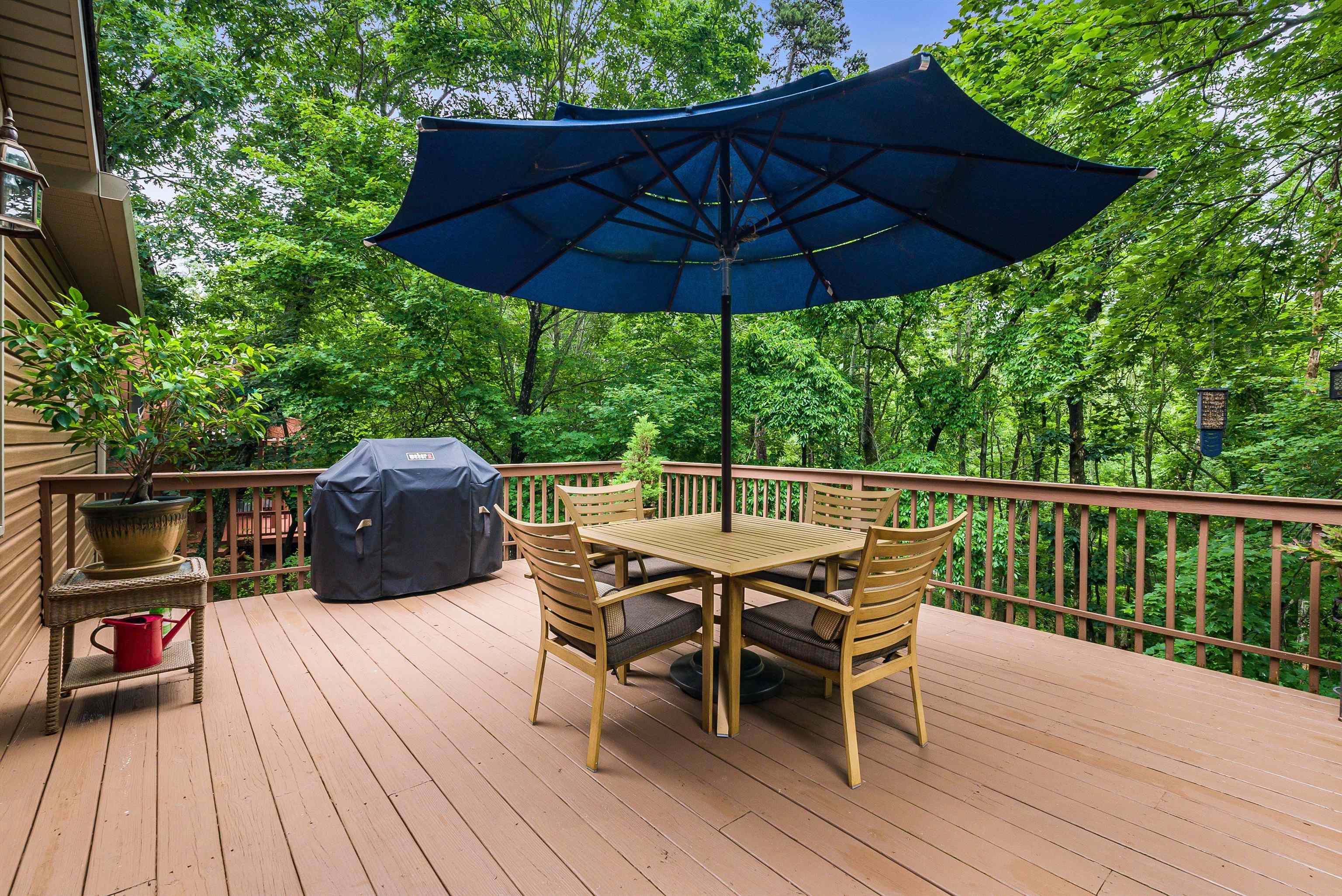 258 TURKEY DR, MCGAHEYSVILLE, Virginia 22840, 6 Bedrooms Bedrooms, ,4 BathroomsBathrooms,Residential,258 TURKEY DR,665936 MLS # 665936