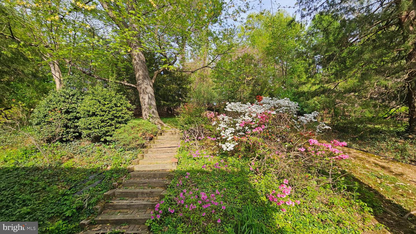 6542 35TH RD N, ARLINGTON, Virginia 22213, 6 Bedrooms Bedrooms, ,3 BathroomsBathrooms,Residential,For sale,6542 35TH RD N,VAAR2057330 MLS # VAAR2057330