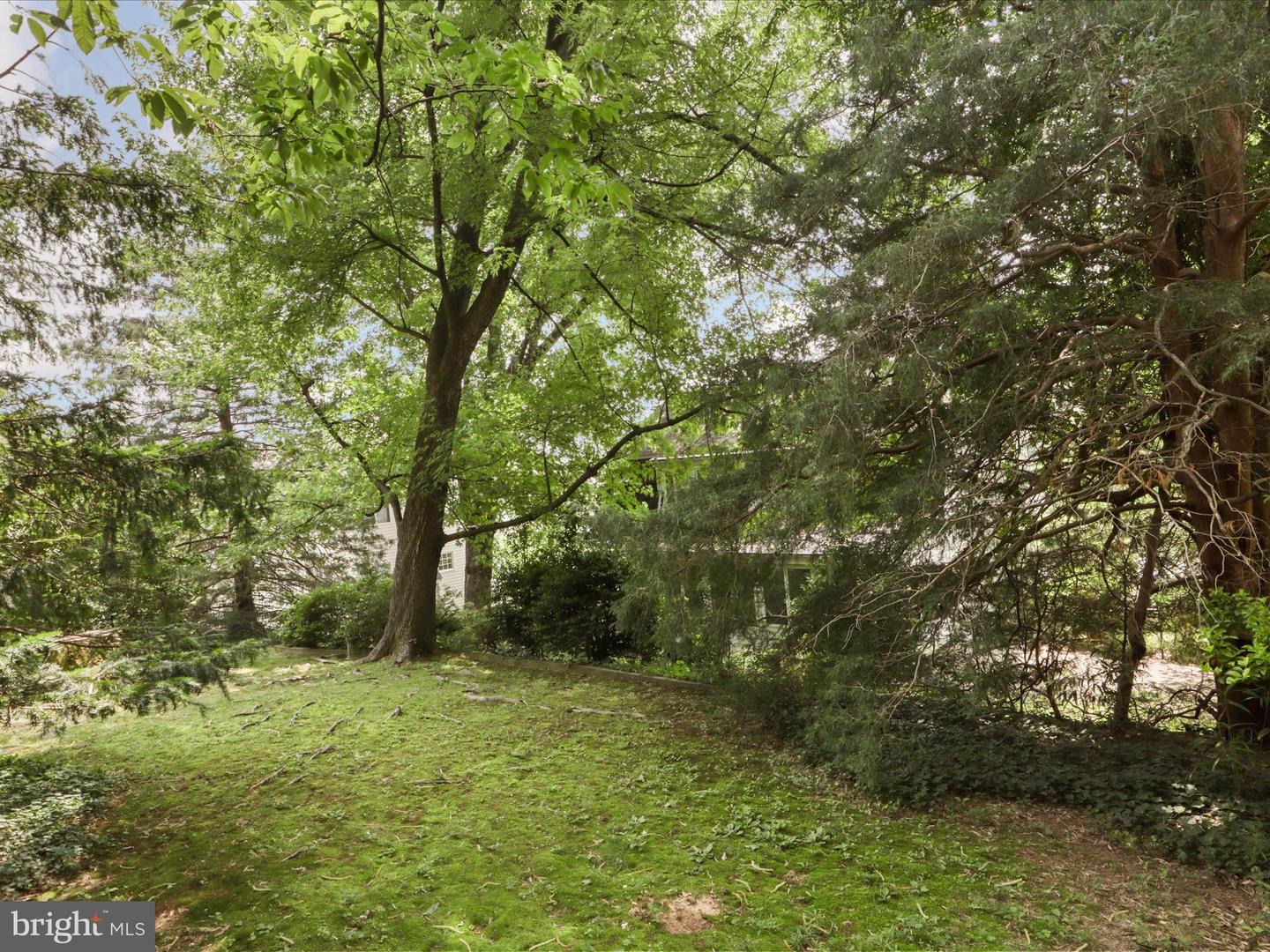 6542 35TH RD N, ARLINGTON, Virginia 22213, 6 Bedrooms Bedrooms, ,3 BathroomsBathrooms,Residential,For sale,6542 35TH RD N,VAAR2057330 MLS # VAAR2057330