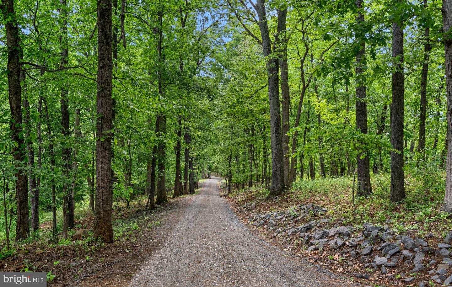8398 LEES RIDGE RD, WARRENTON, Virginia 20186, 4 Bedrooms Bedrooms, ,5 BathroomsBathrooms,Residential,For sale,8398 LEES RIDGE RD,VAFQ2016592 MLS # VAFQ2016592