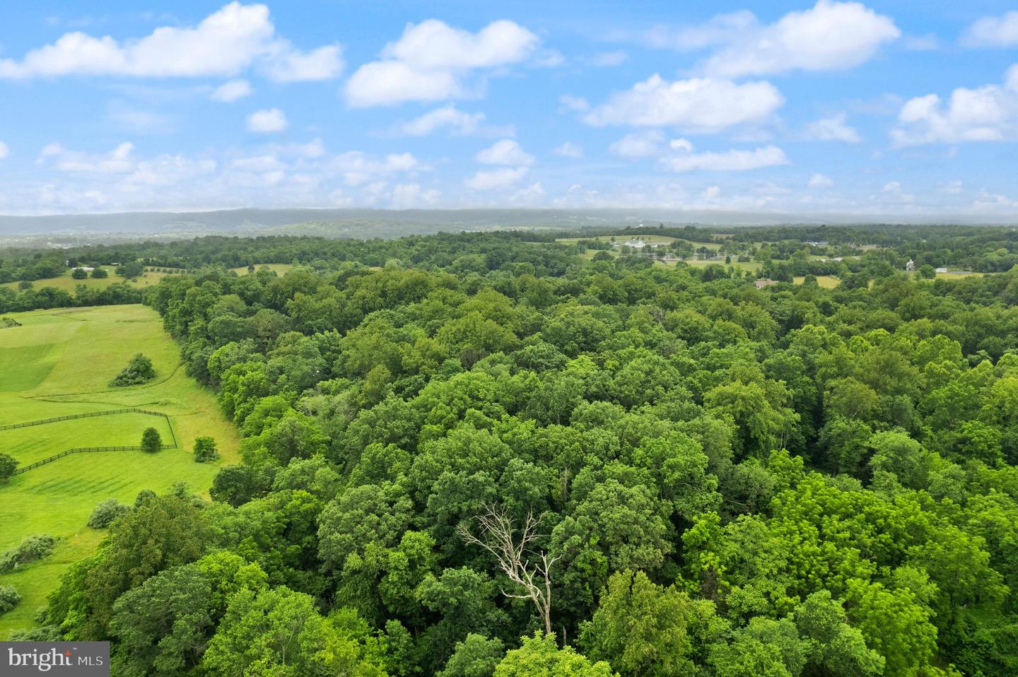 17842 OAKMONT WAY, PURCELLVILLE, Virginia 20132, 5 Bedrooms Bedrooms, ,3 BathroomsBathrooms,Residential,For sale,17842 OAKMONT WAY,VALO2097330 MLS # VALO2097330