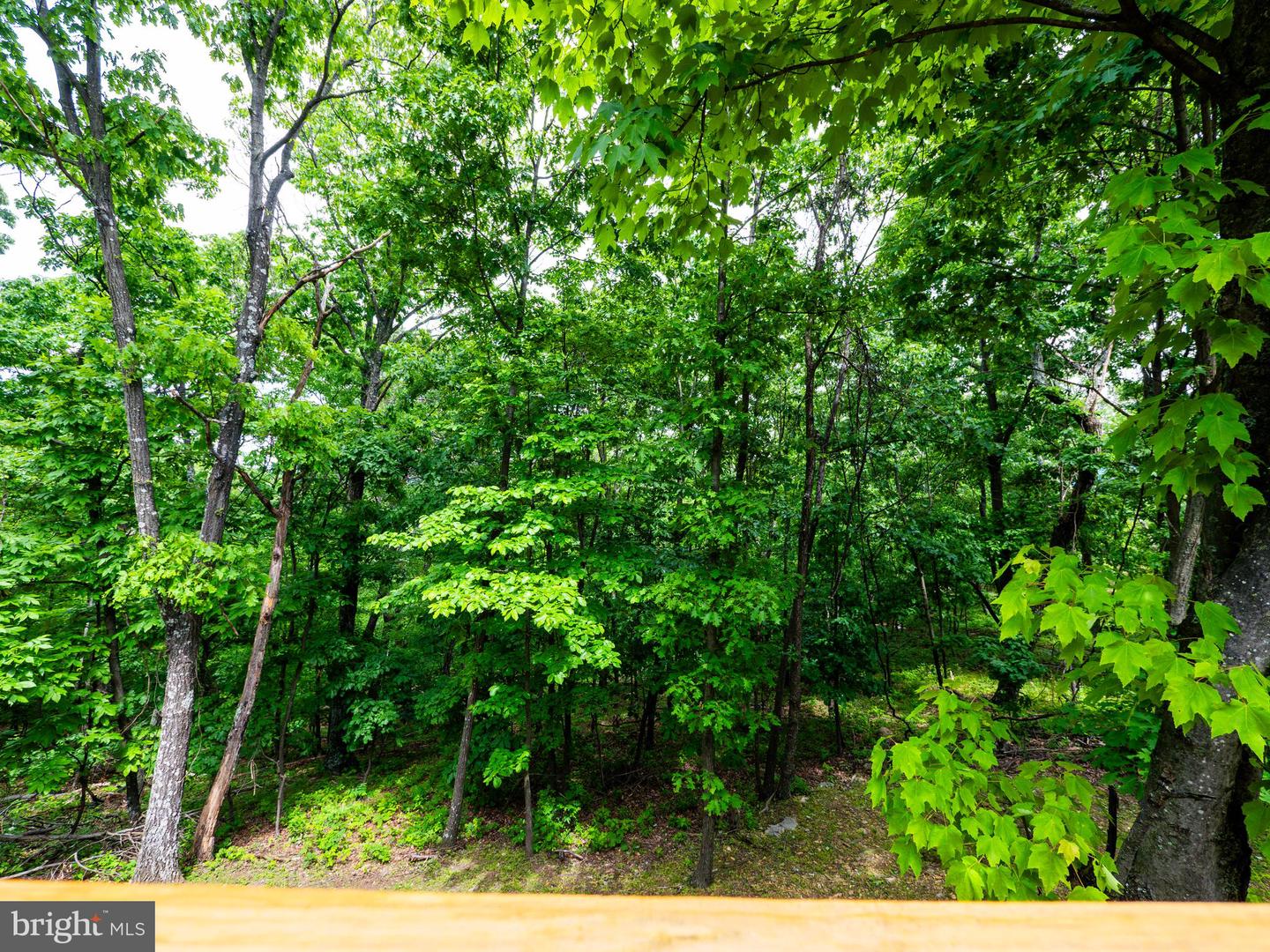1502 TOMAHAWK TRL, WINCHESTER, Virginia 22602, 2 Bedrooms Bedrooms, ,1 BathroomBathrooms,Residential,For sale,1502 TOMAHAWK TRL,VAFV2034350 MLS # VAFV2034350