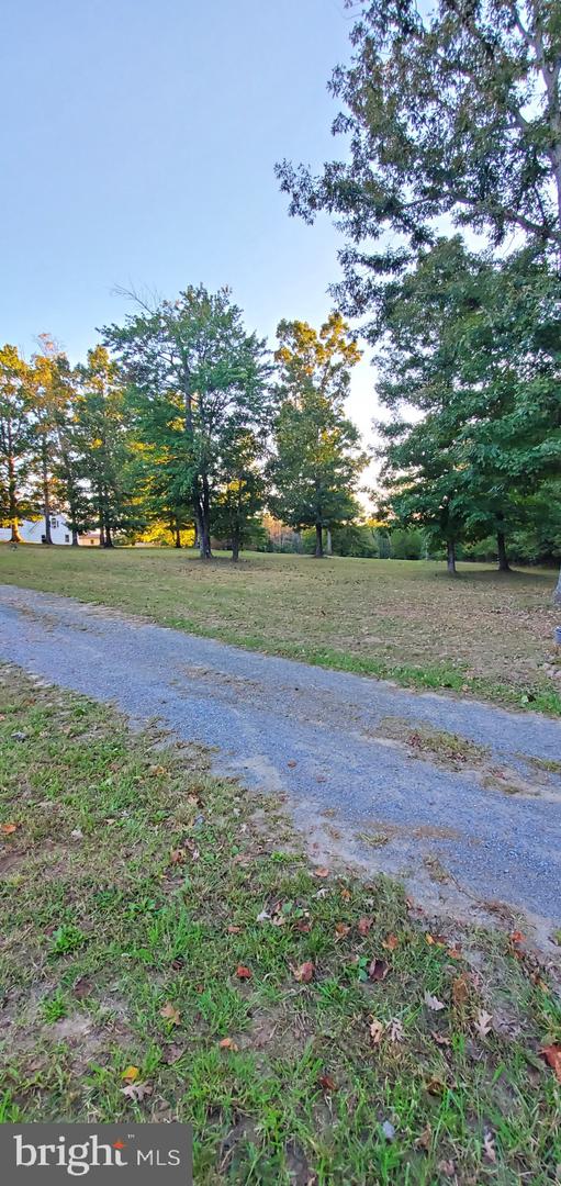 2995 BEAR CREEK RD, RUSTBURG, Virginia 24588, 6 Bedrooms Bedrooms, ,5 BathroomsBathrooms,Residential,For sale,2995 BEAR CREEK RD,VACP2000086 MLS # VACP2000086