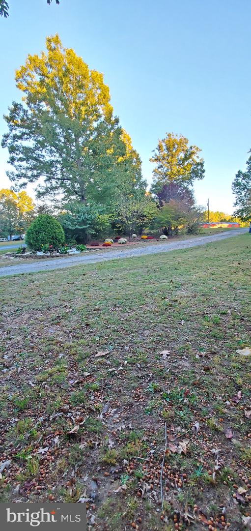 2995 BEAR CREEK RD, RUSTBURG, Virginia 24588, 6 Bedrooms Bedrooms, ,5 BathroomsBathrooms,Residential,For sale,2995 BEAR CREEK RD,VACP2000086 MLS # VACP2000086
