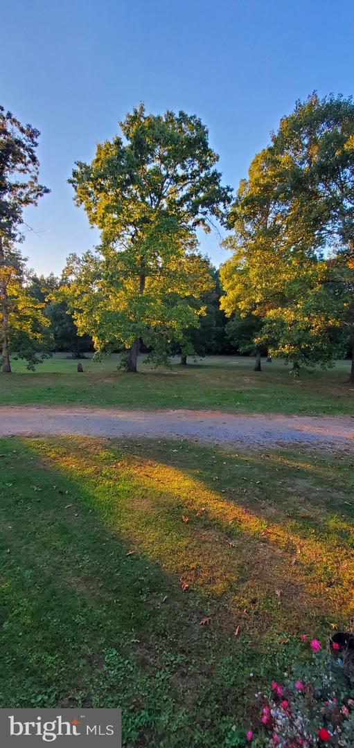 2995 BEAR CREEK RD, RUSTBURG, Virginia 24588, 6 Bedrooms Bedrooms, ,5 BathroomsBathrooms,Residential,For sale,2995 BEAR CREEK RD,VACP2000086 MLS # VACP2000086