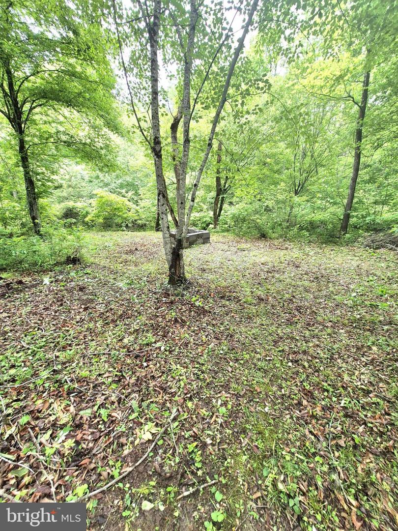 2995 BEAR CREEK RD, RUSTBURG, Virginia 24588, 6 Bedrooms Bedrooms, ,5 BathroomsBathrooms,Residential,For sale,2995 BEAR CREEK RD,VACP2000086 MLS # VACP2000086