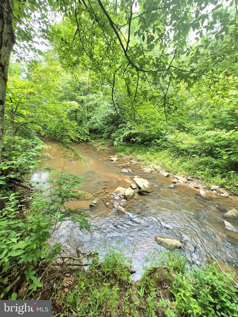 2995 BEAR CREEK RD, RUSTBURG, Virginia 24588, 6 Bedrooms Bedrooms, ,5 BathroomsBathrooms,Residential,For sale,2995 BEAR CREEK RD,VACP2000086 MLS # VACP2000086
