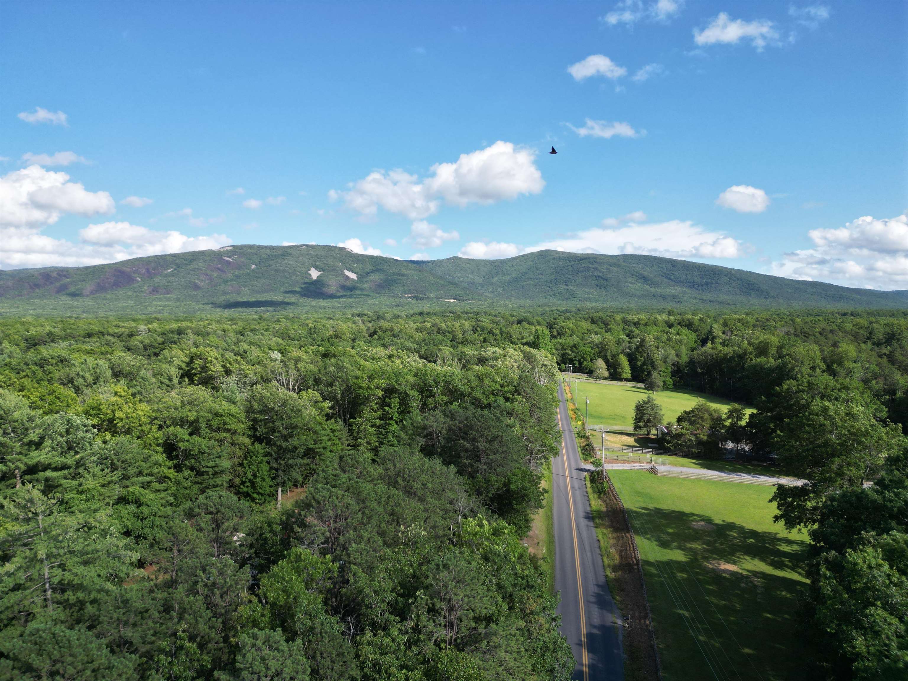 TBD COLD SPRINGS RD, GREENVILLE, Virginia 24440, ,Land,TBD COLD SPRINGS RD,665956 MLS # 665956