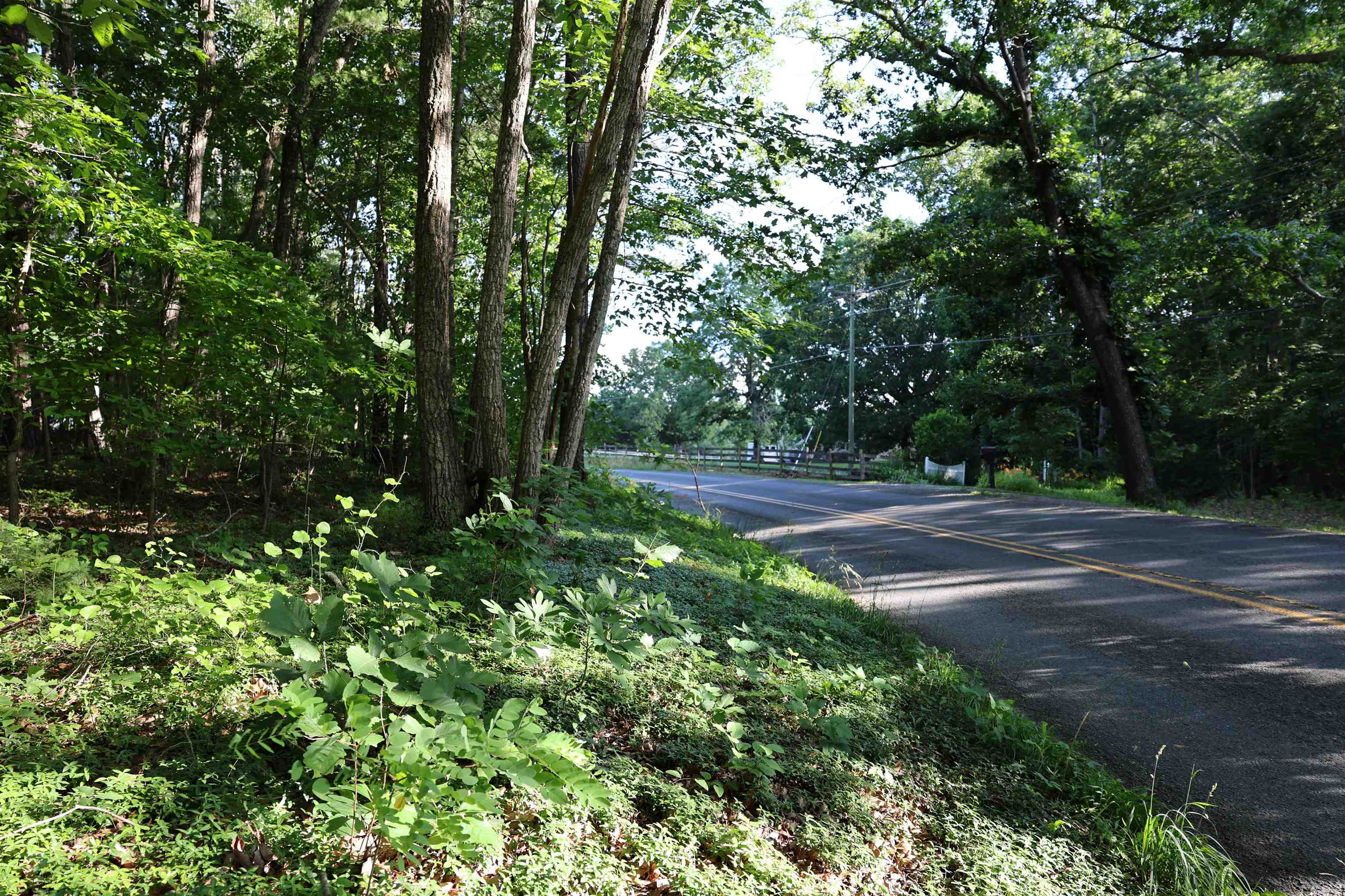 TBD COLD SPRINGS RD, GREENVILLE, Virginia 24440, ,Land,TBD COLD SPRINGS RD,665956 MLS # 665956
