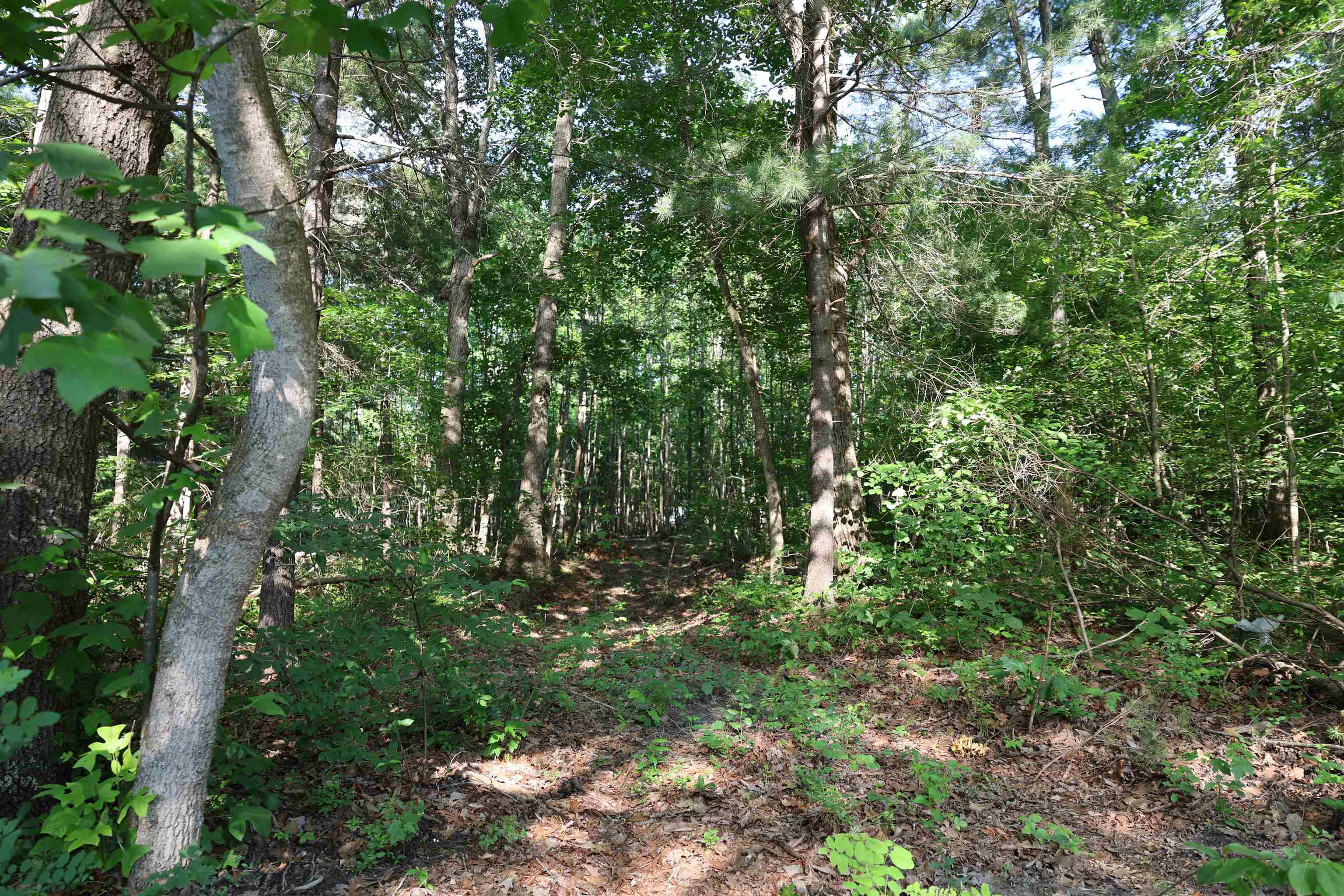 TBD COLD SPRINGS RD, GREENVILLE, Virginia 24440, ,Land,TBD COLD SPRINGS RD,665956 MLS # 665956