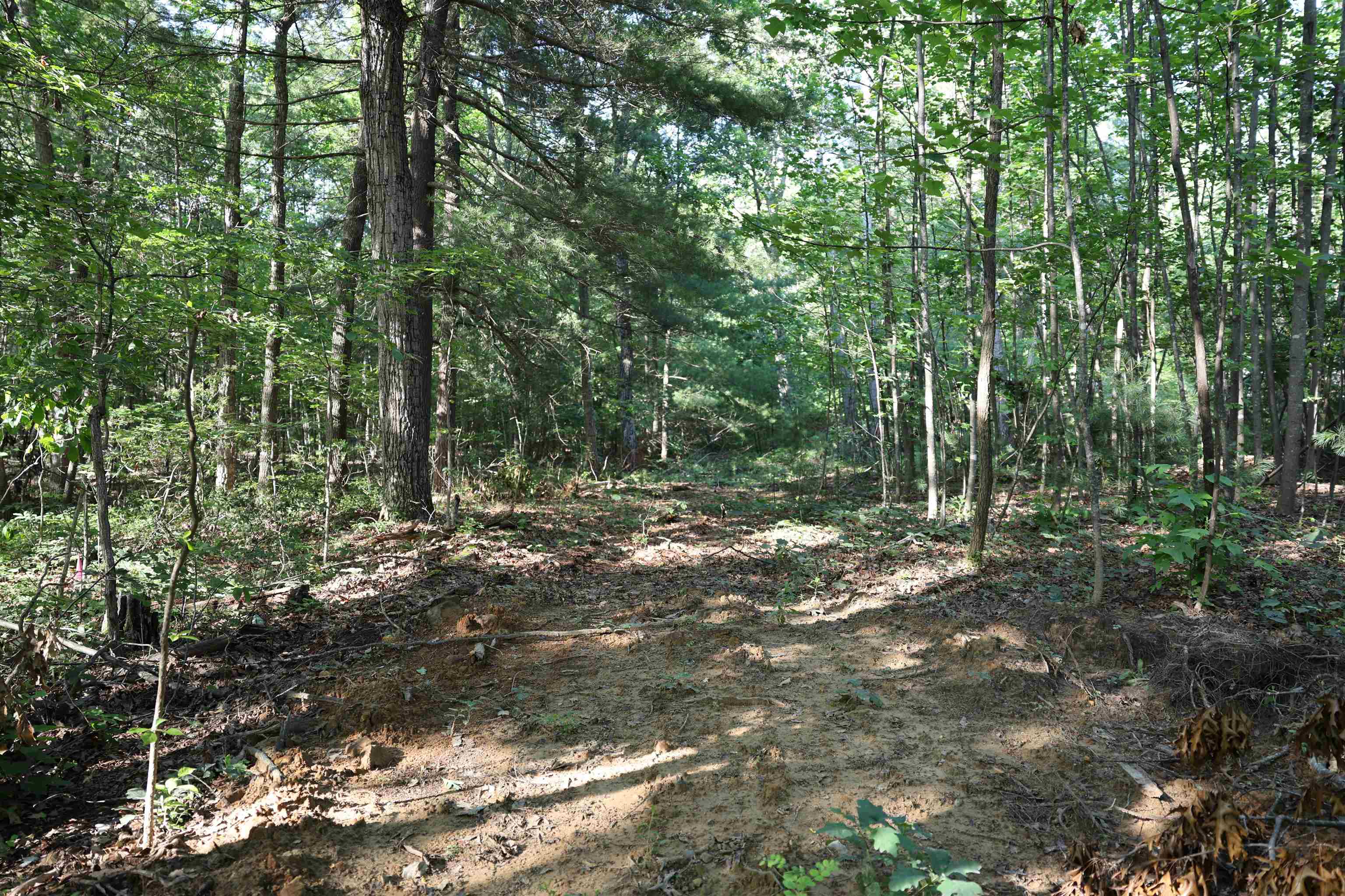 TBD COLD SPRINGS RD, GREENVILLE, Virginia 24440, ,Land,TBD COLD SPRINGS RD,665956 MLS # 665956