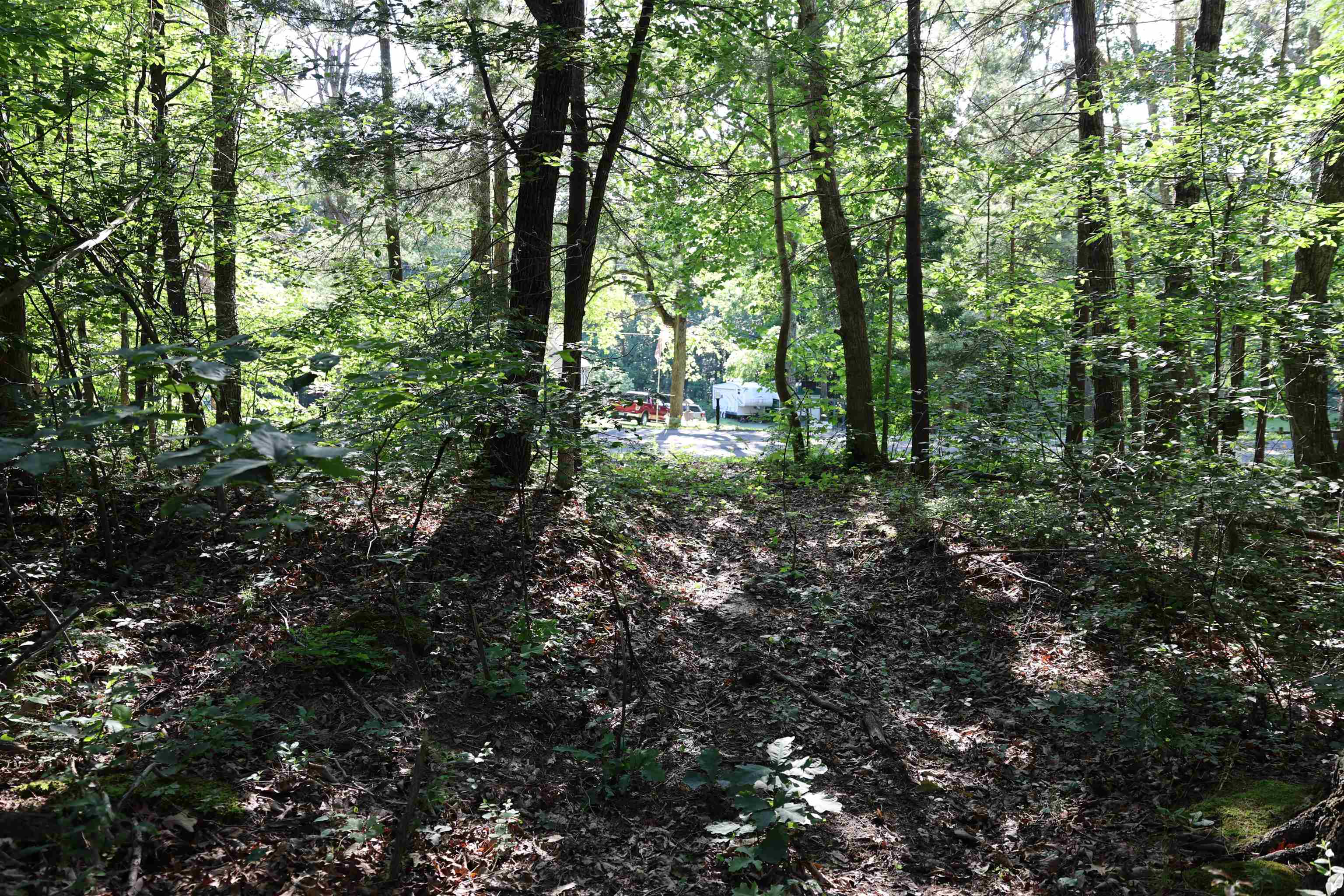 TBD COLD SPRINGS RD, GREENVILLE, Virginia 24440, ,Land,TBD COLD SPRINGS RD,665956 MLS # 665956