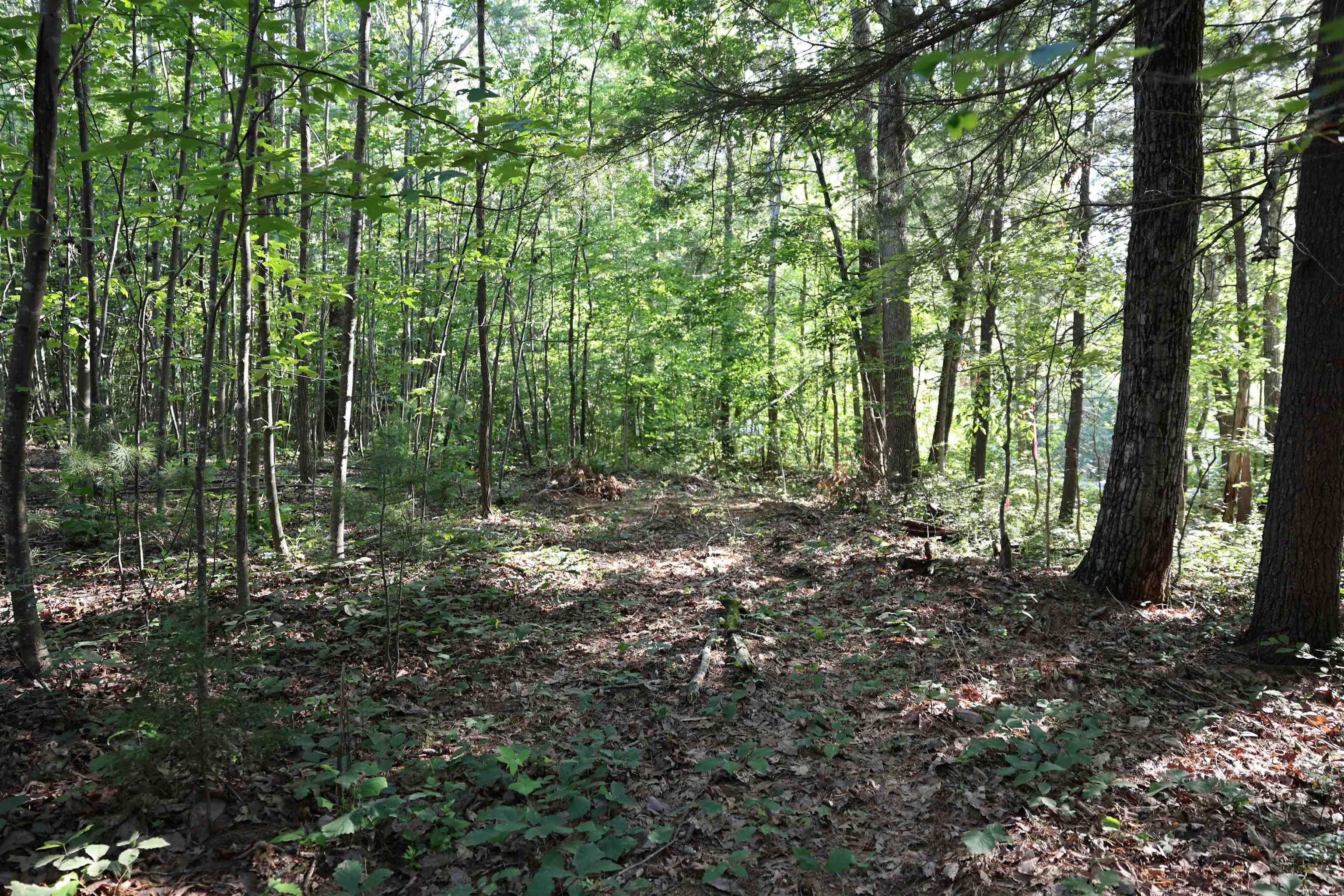 TBD COLD SPRINGS RD, GREENVILLE, Virginia 24440, ,Land,TBD COLD SPRINGS RD,665956 MLS # 665956