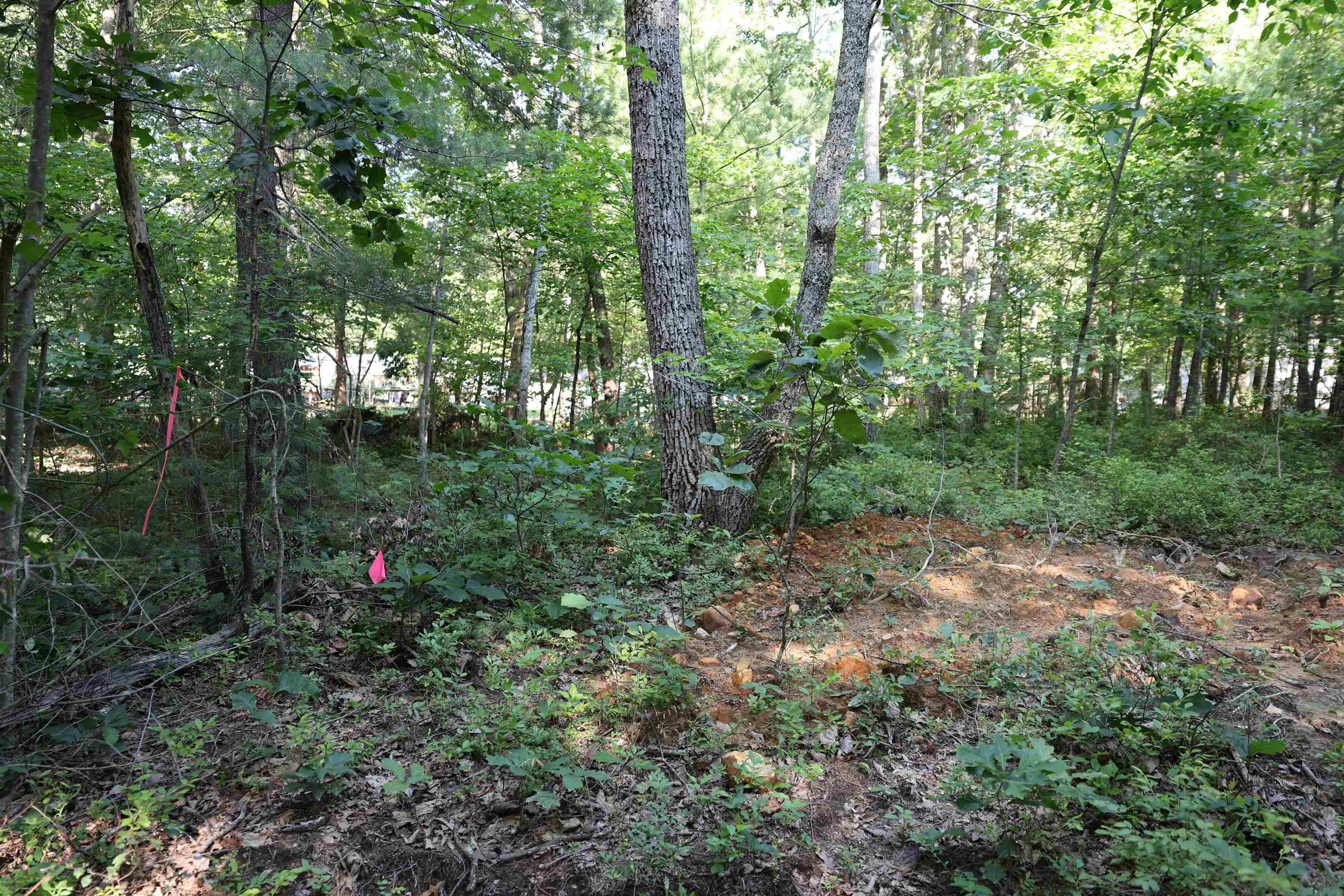TBD COLD SPRINGS RD, GREENVILLE, Virginia 24440, ,Land,TBD COLD SPRINGS RD,665956 MLS # 665956
