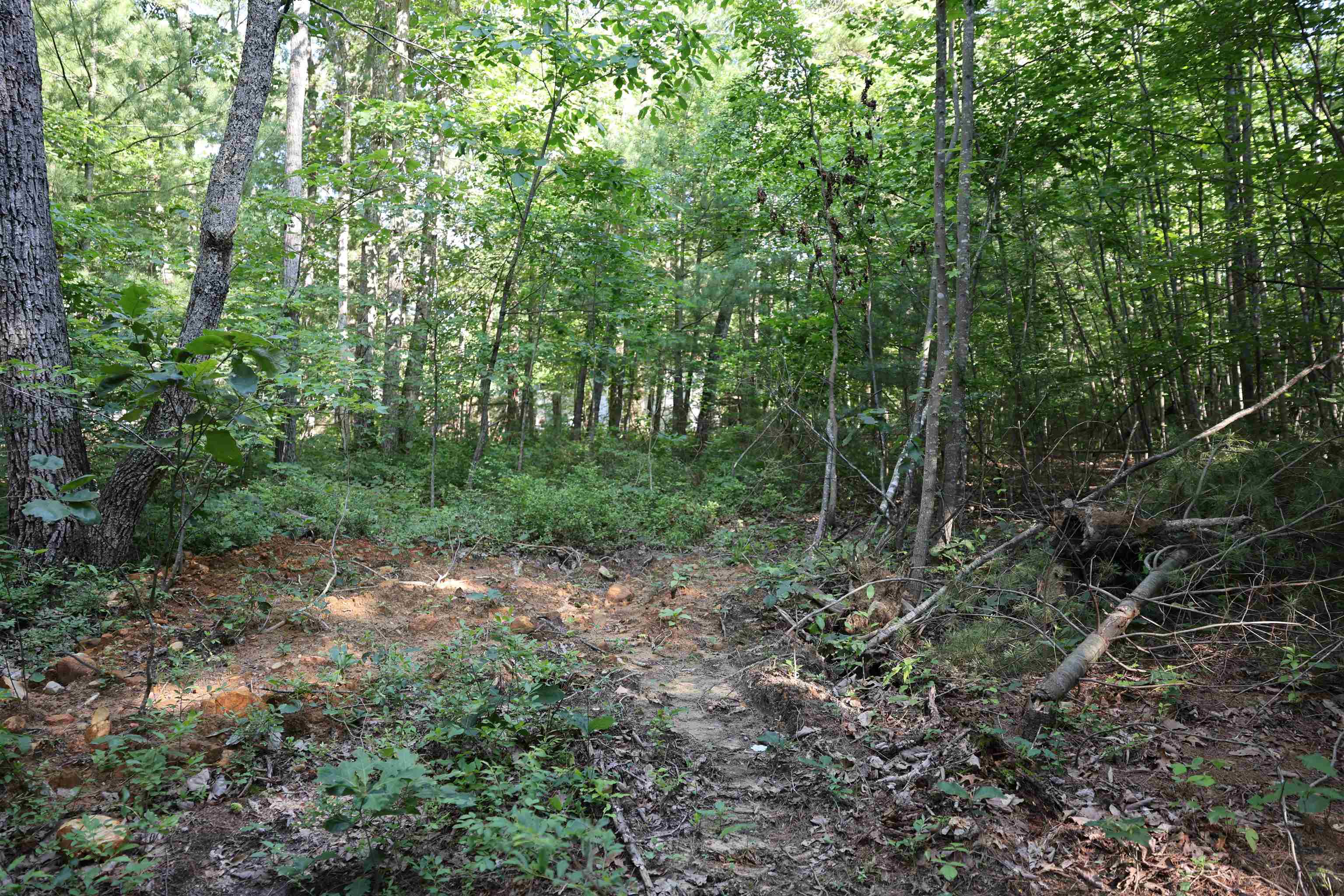 TBD COLD SPRINGS RD, GREENVILLE, Virginia 24440, ,Land,TBD COLD SPRINGS RD,665956 MLS # 665956