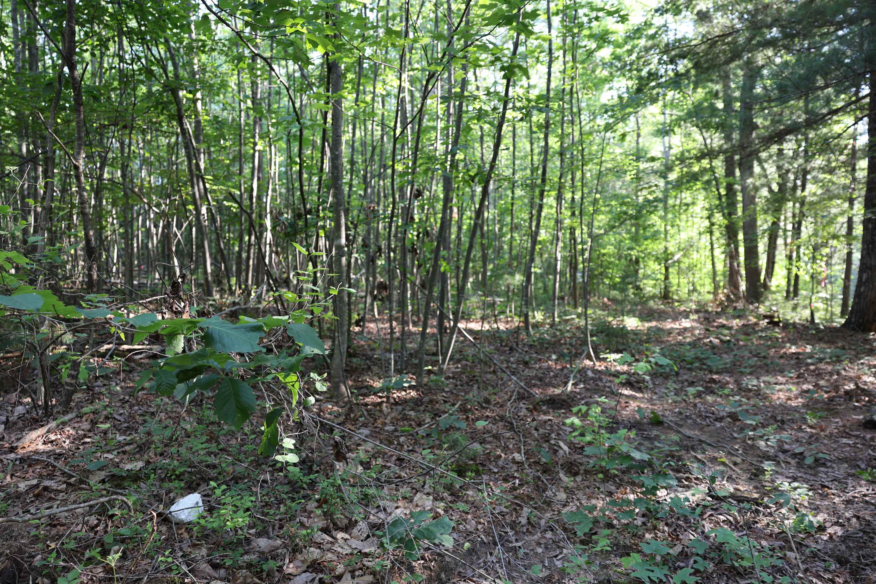 TBD COLD SPRINGS RD, GREENVILLE, Virginia 24440, ,Land,TBD COLD SPRINGS RD,665956 MLS # 665956