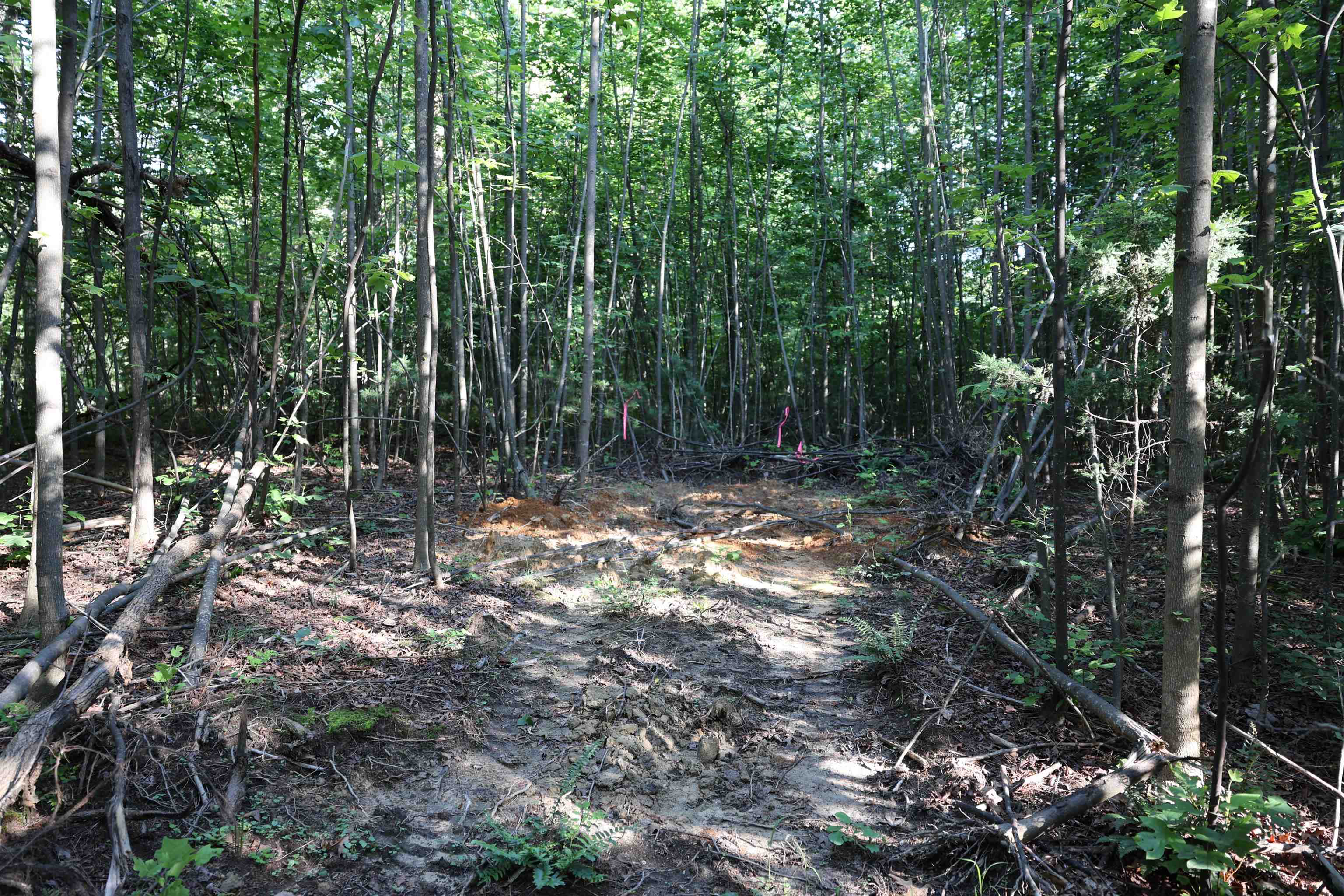 TBD COLD SPRINGS RD, GREENVILLE, Virginia 24440, ,Land,TBD COLD SPRINGS RD,665956 MLS # 665956