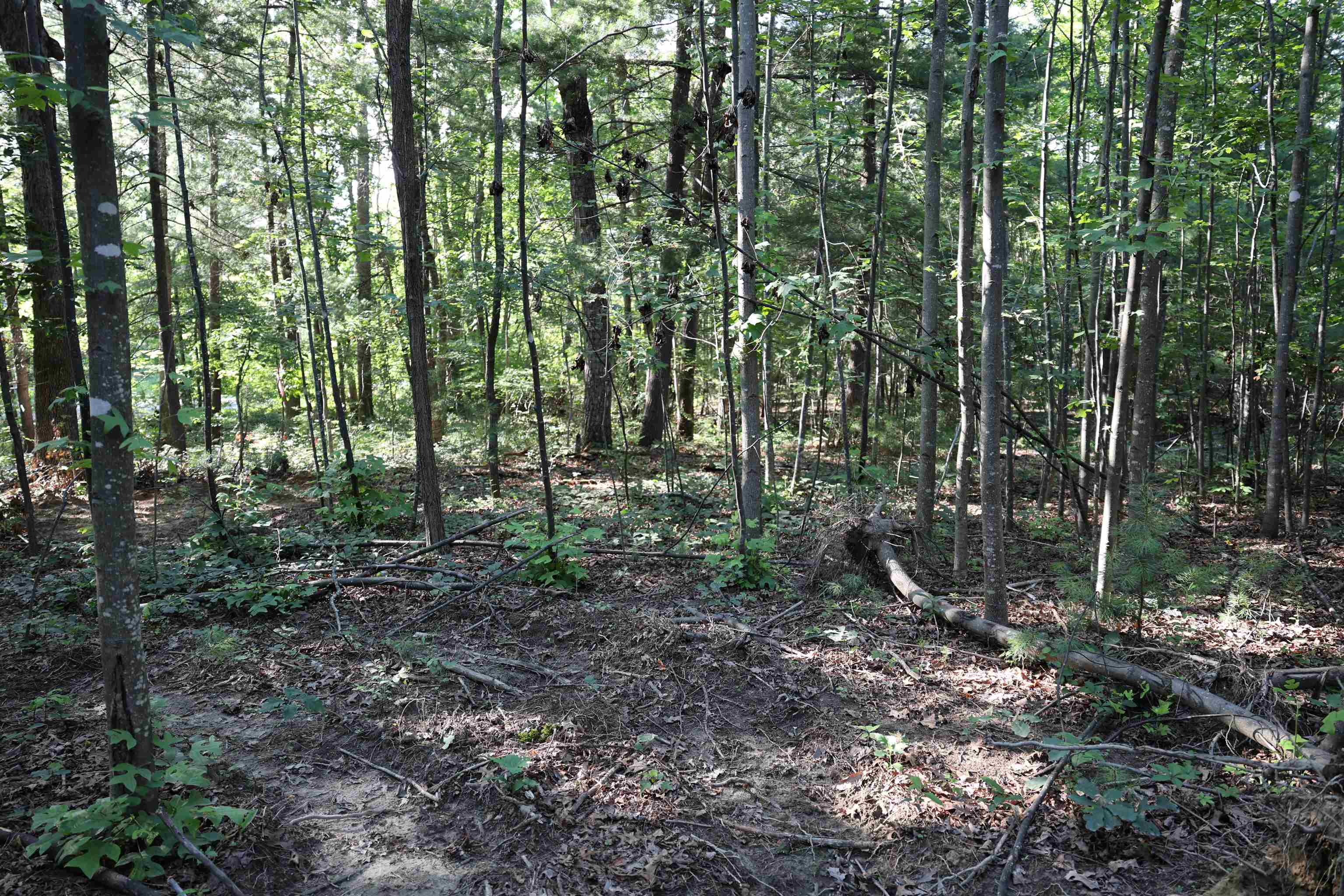 TBD COLD SPRINGS RD, GREENVILLE, Virginia 24440, ,Land,TBD COLD SPRINGS RD,665956 MLS # 665956