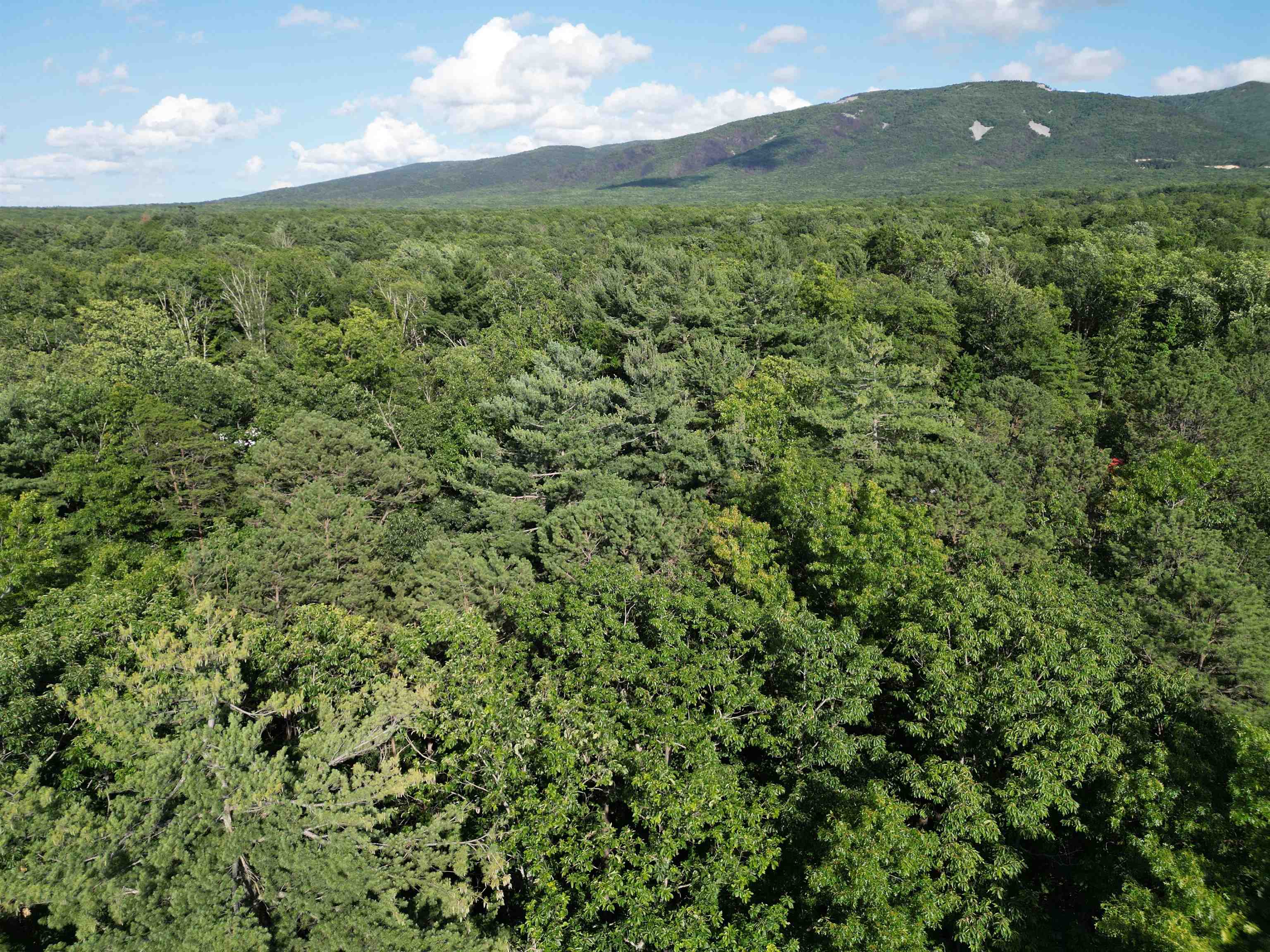TBD COLD SPRINGS RD, GREENVILLE, Virginia 24440, ,Land,TBD COLD SPRINGS RD,665956 MLS # 665956
