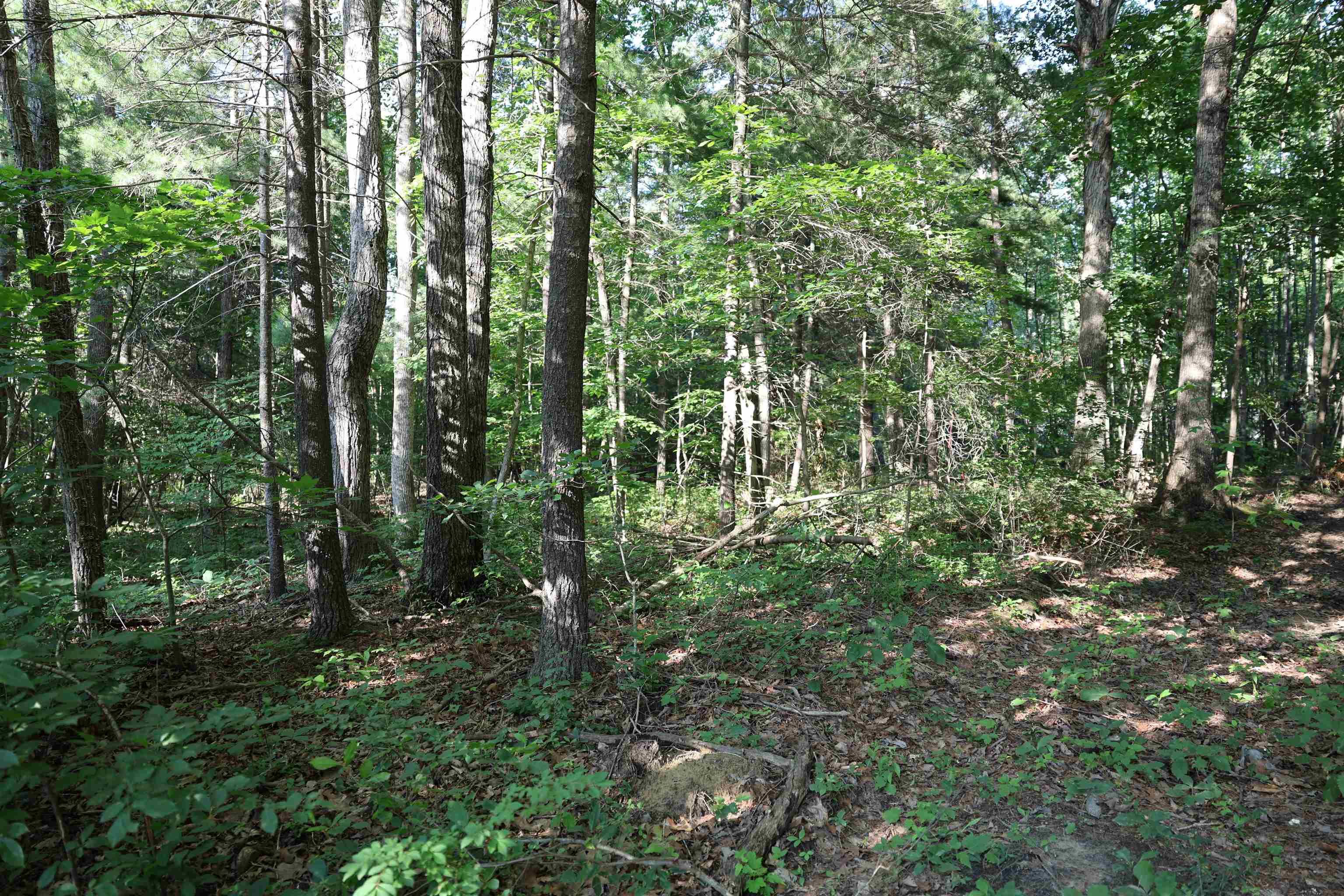 TBD COLD SPRINGS RD, GREENVILLE, Virginia 24440, ,Land,TBD COLD SPRINGS RD,665956 MLS # 665956