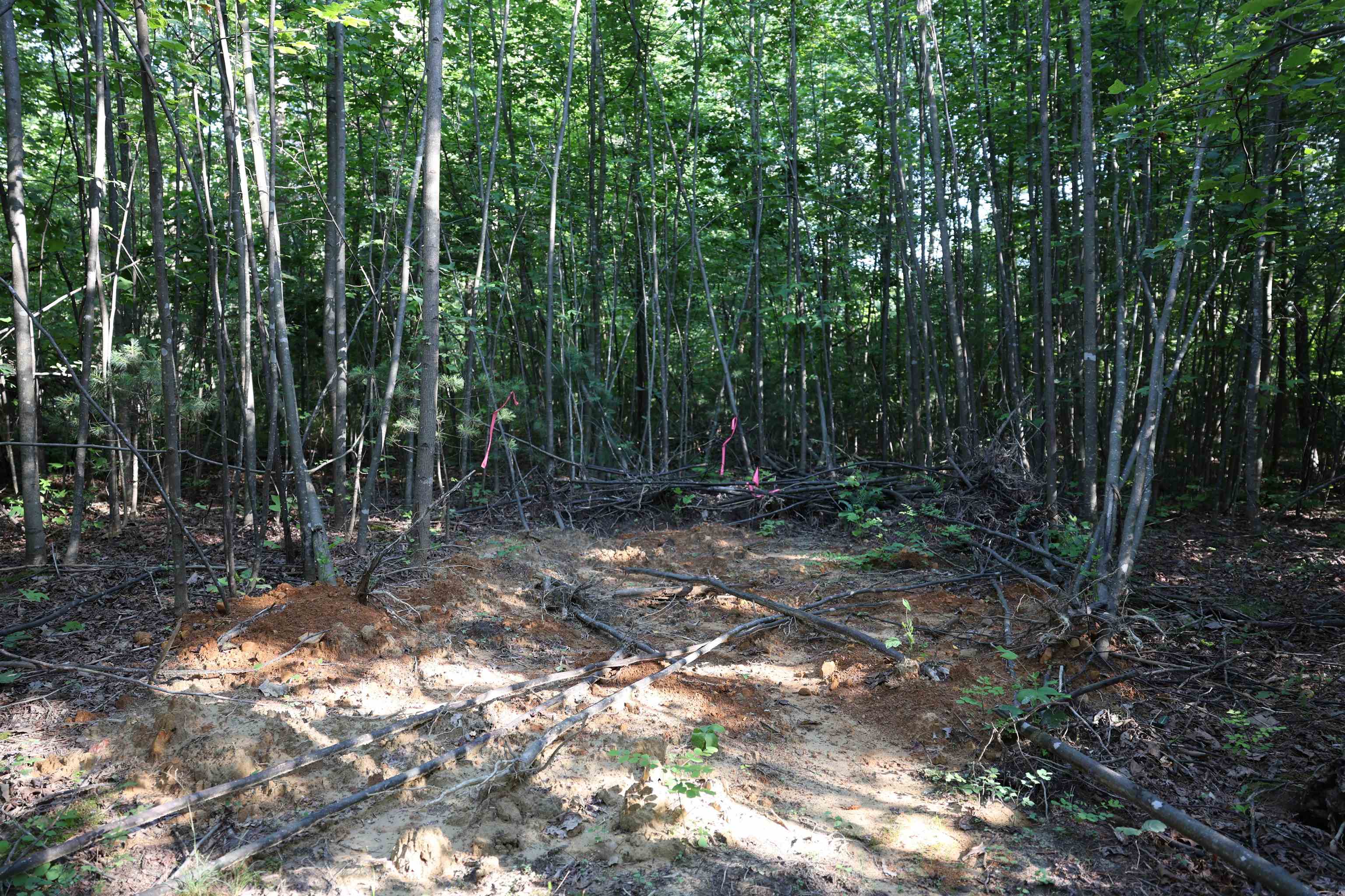 TBD COLD SPRINGS RD, GREENVILLE, Virginia 24440, ,Land,TBD COLD SPRINGS RD,665956 MLS # 665956