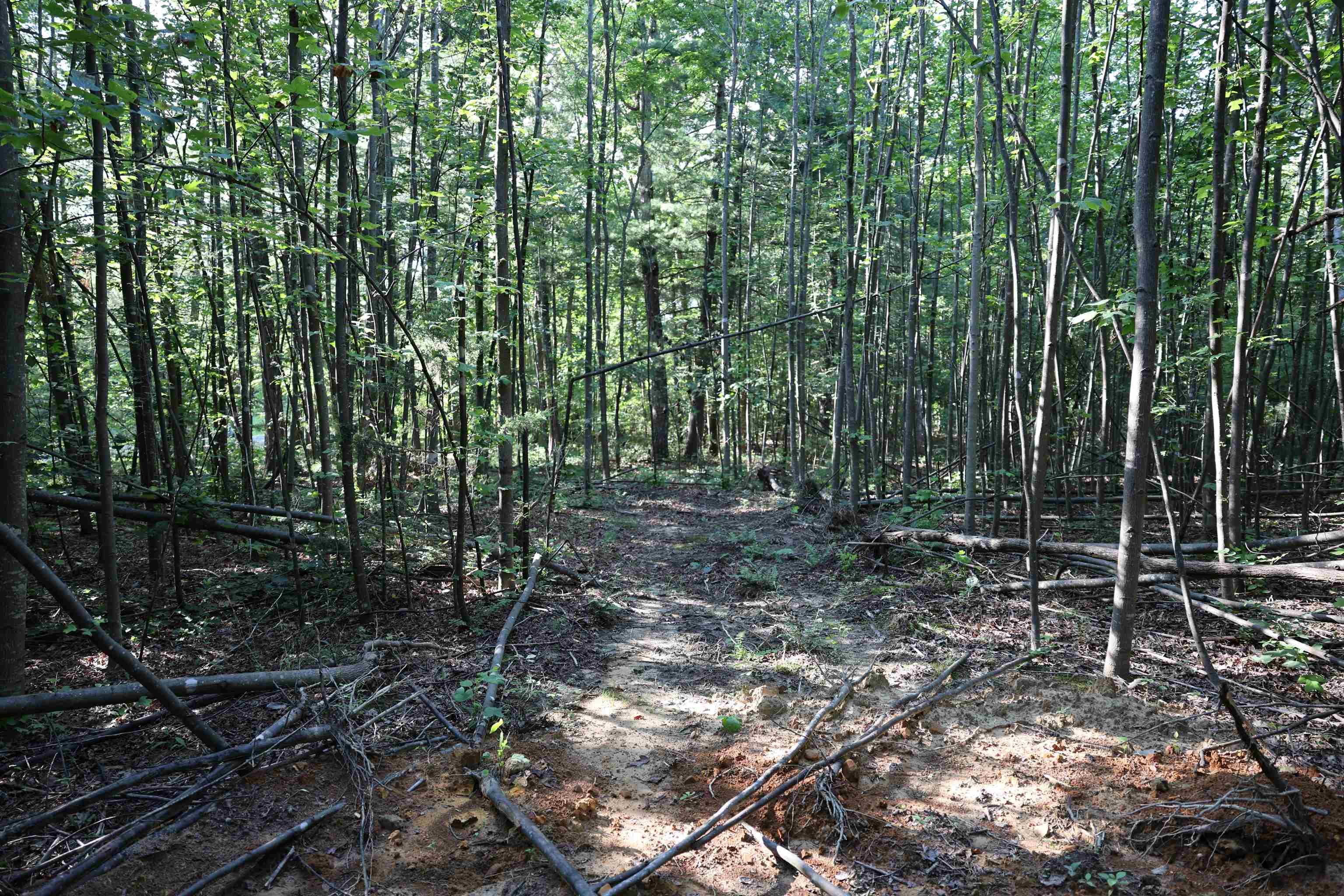 TBD COLD SPRINGS RD, GREENVILLE, Virginia 24440, ,Land,TBD COLD SPRINGS RD,665956 MLS # 665956