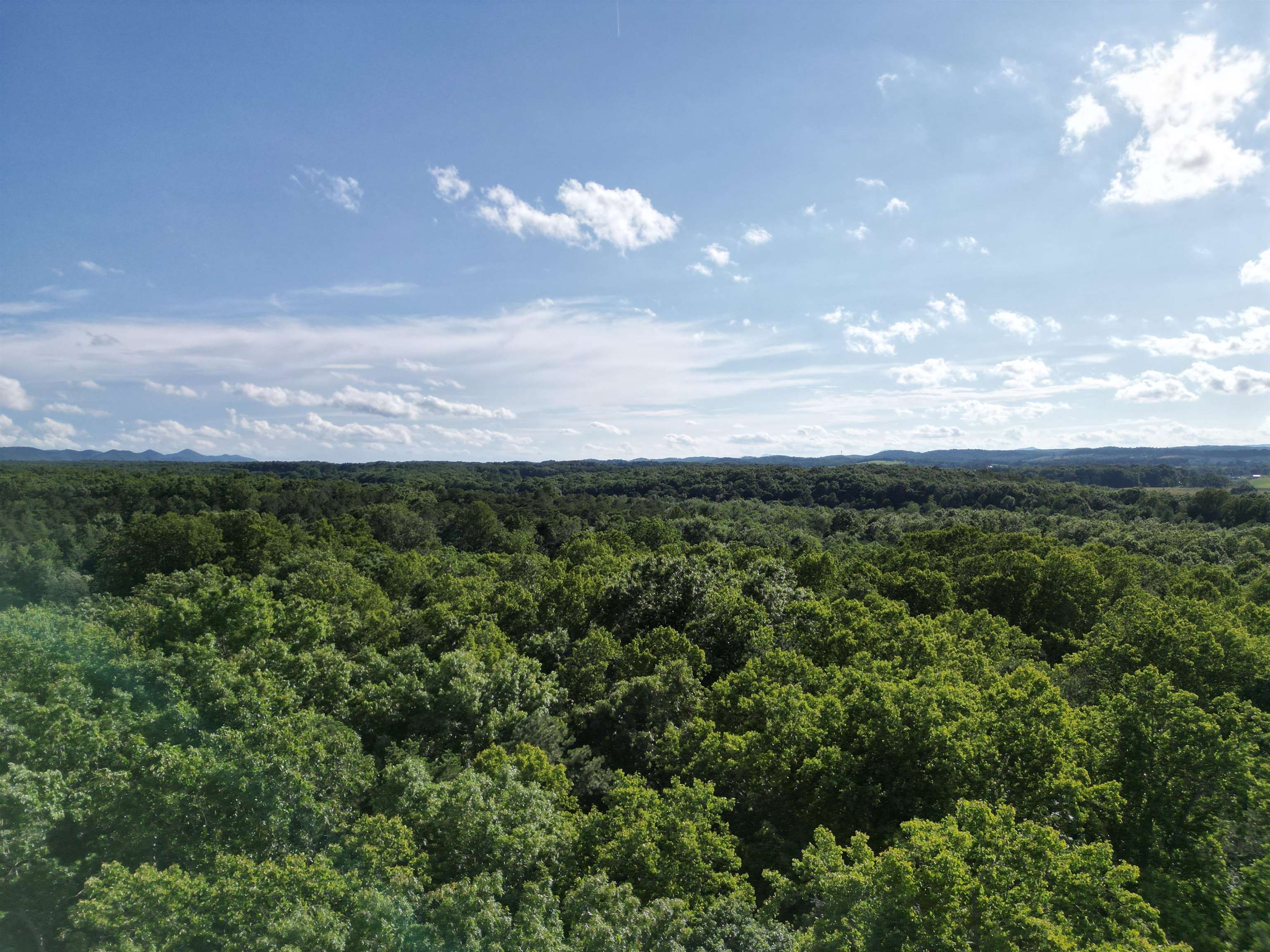 TBD COLD SPRINGS RD, GREENVILLE, Virginia 24440, ,Land,TBD COLD SPRINGS RD,665956 MLS # 665956