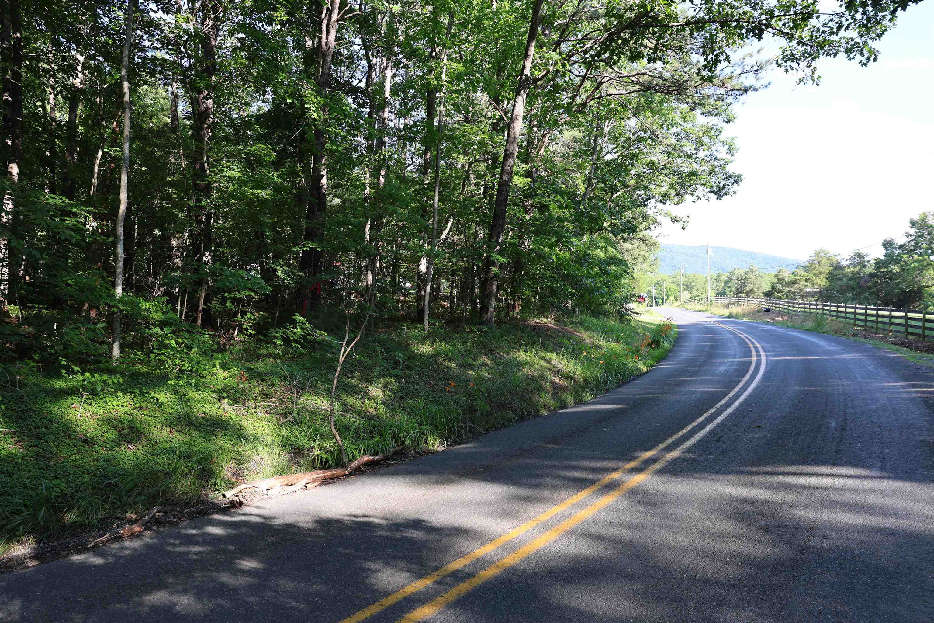 TBD COLD SPRINGS RD, GREENVILLE, Virginia 24440, ,Land,TBD COLD SPRINGS RD,665956 MLS # 665956