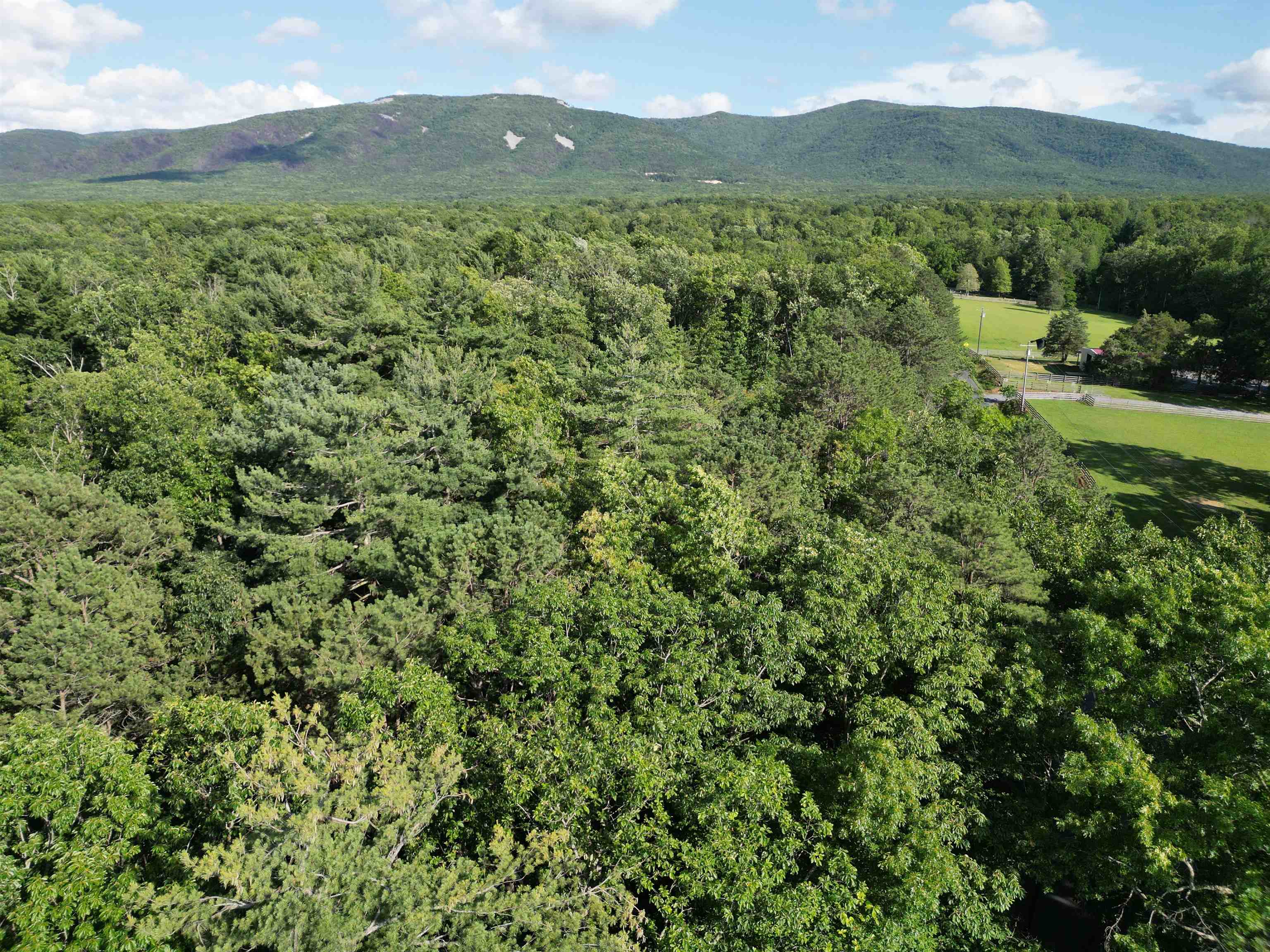 TBD COLD SPRINGS RD, GREENVILLE, Virginia 24440, ,Land,TBD COLD SPRINGS RD,665956 MLS # 665956
