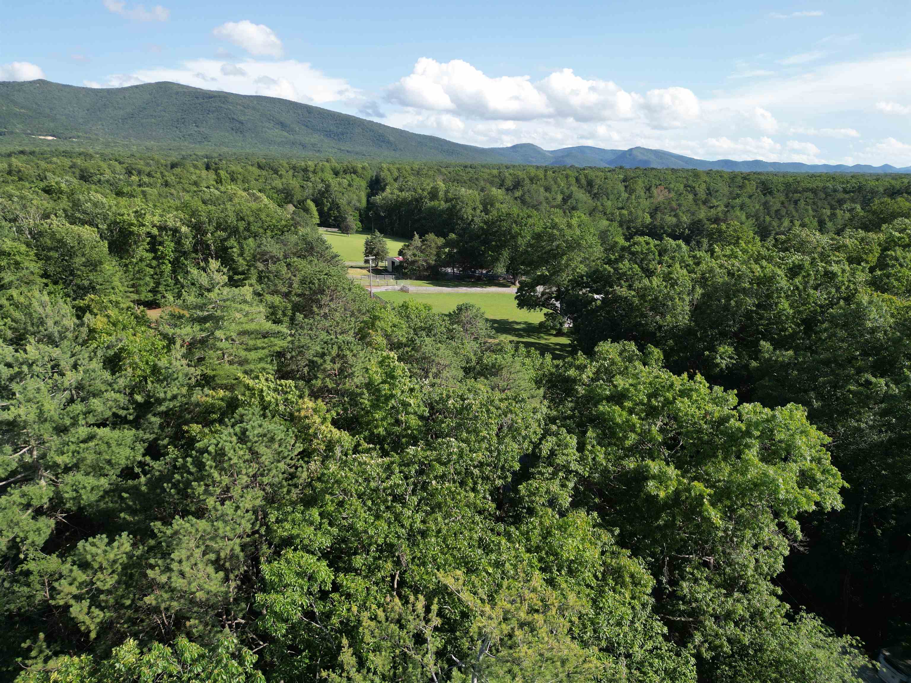 TBD COLD SPRINGS RD, GREENVILLE, Virginia 24440, ,Land,TBD COLD SPRINGS RD,665956 MLS # 665956