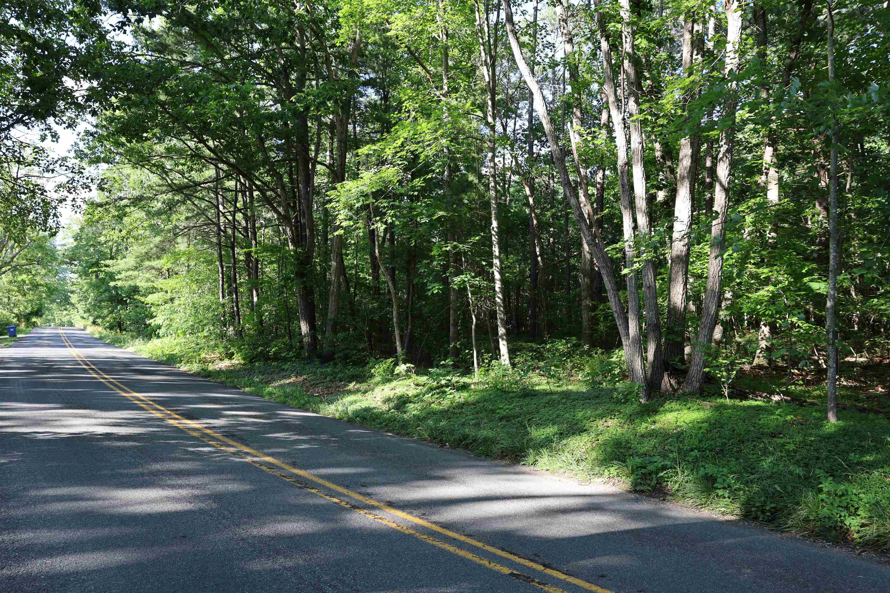 TBD COLD SPRINGS RD, GREENVILLE, Virginia 24440, ,Land,TBD COLD SPRINGS RD,665956 MLS # 665956