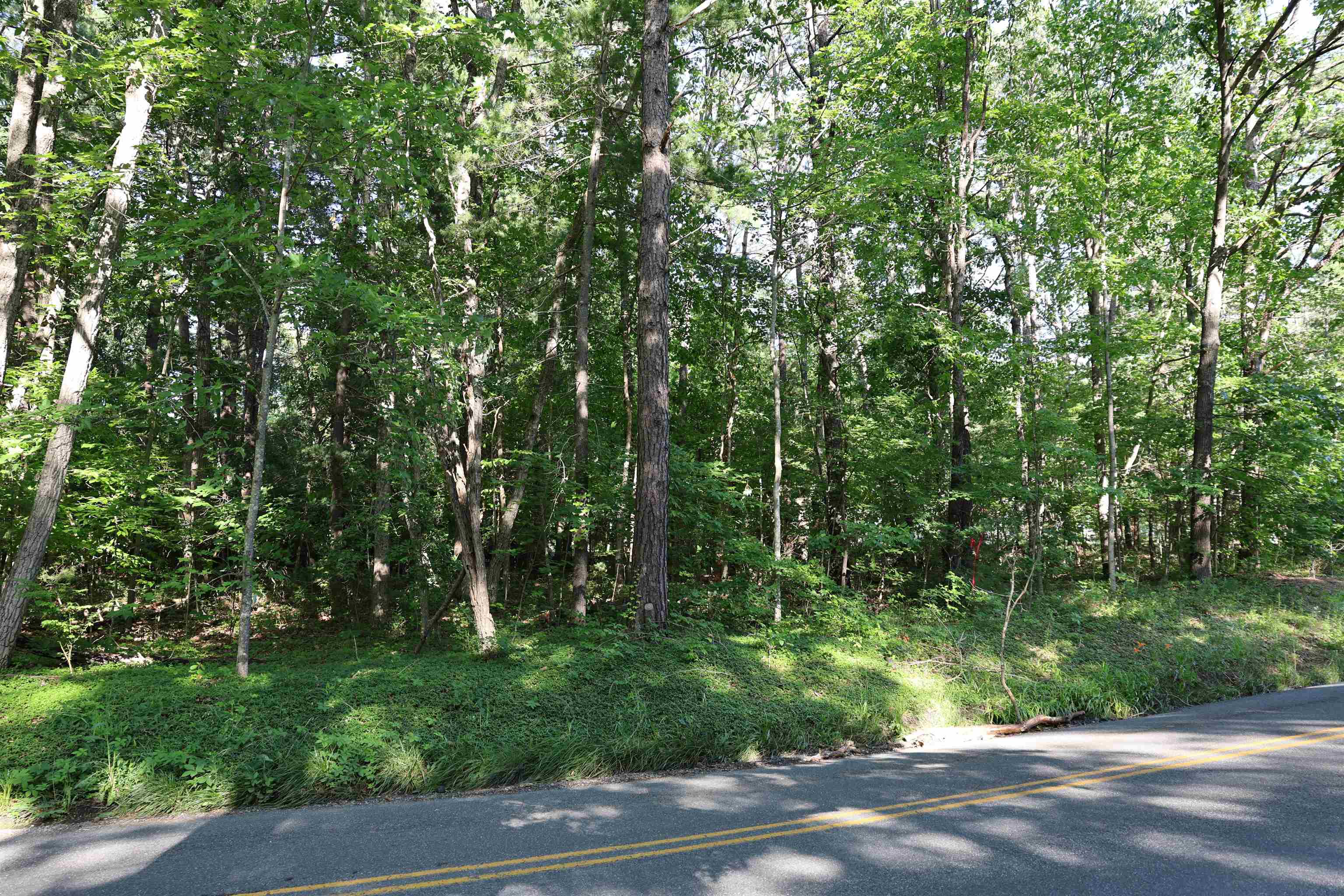 TBD COLD SPRINGS RD, GREENVILLE, Virginia 24440, ,Land,TBD COLD SPRINGS RD,665956 MLS # 665956