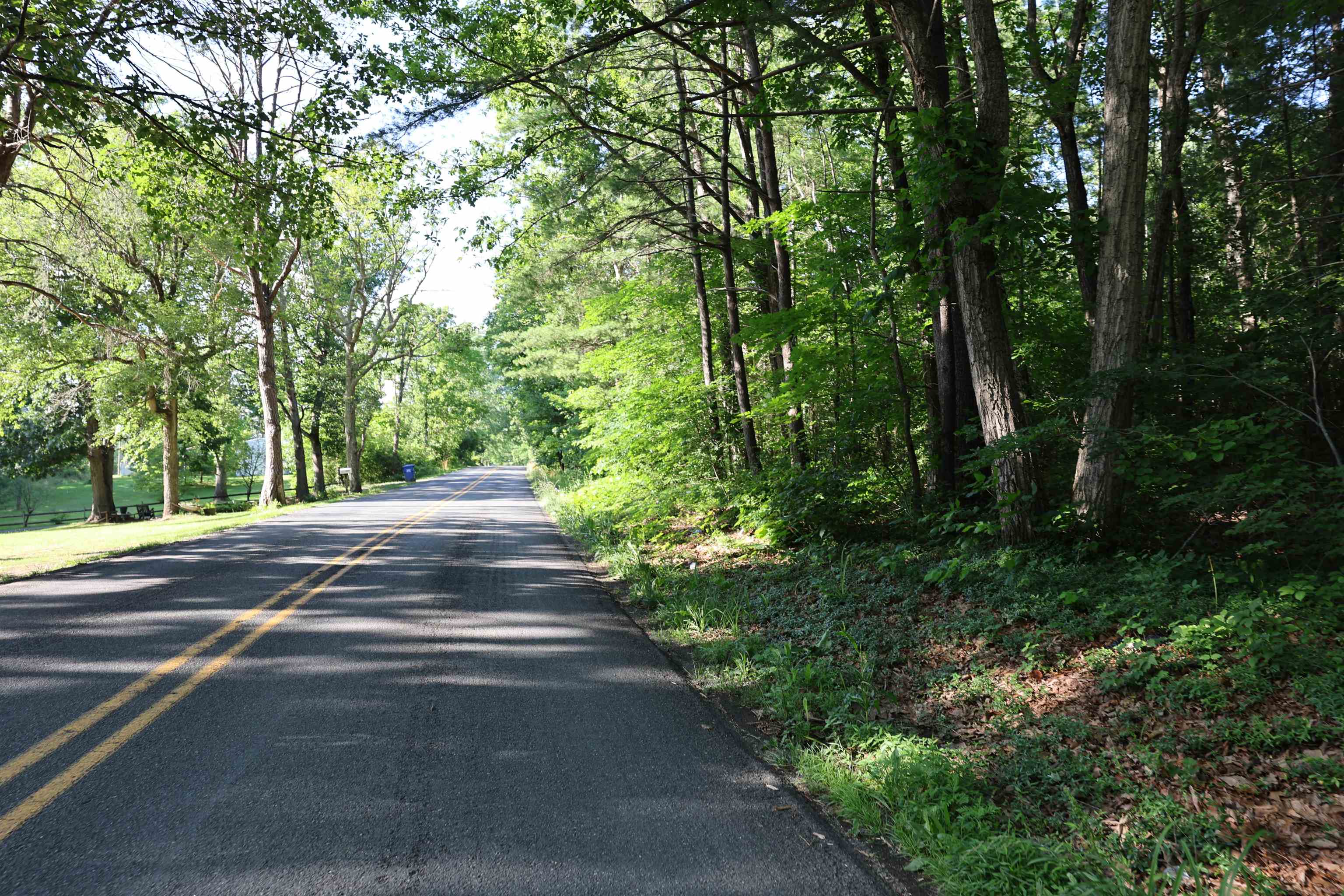 TBD COLD SPRINGS RD, GREENVILLE, Virginia 24440, ,Land,TBD COLD SPRINGS RD,665956 MLS # 665956