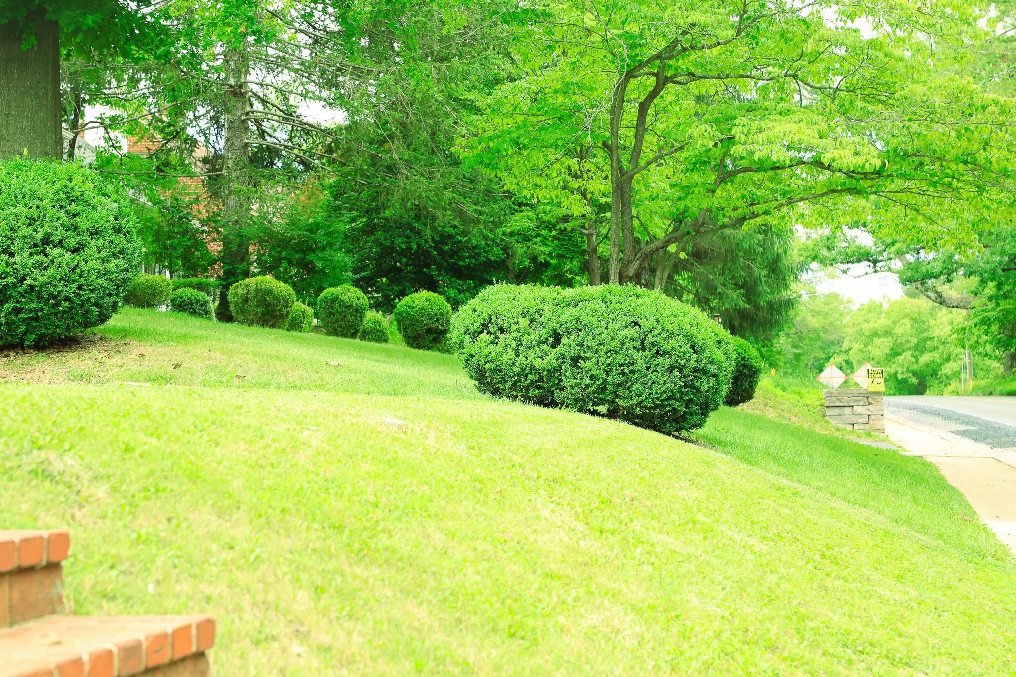 844 LYNDHURST RD, WAYNESBORO, Virginia 22980, 4 Bedrooms Bedrooms, ,1 BathroomBathrooms,Residential,844 LYNDHURST RD,665958 MLS # 665958