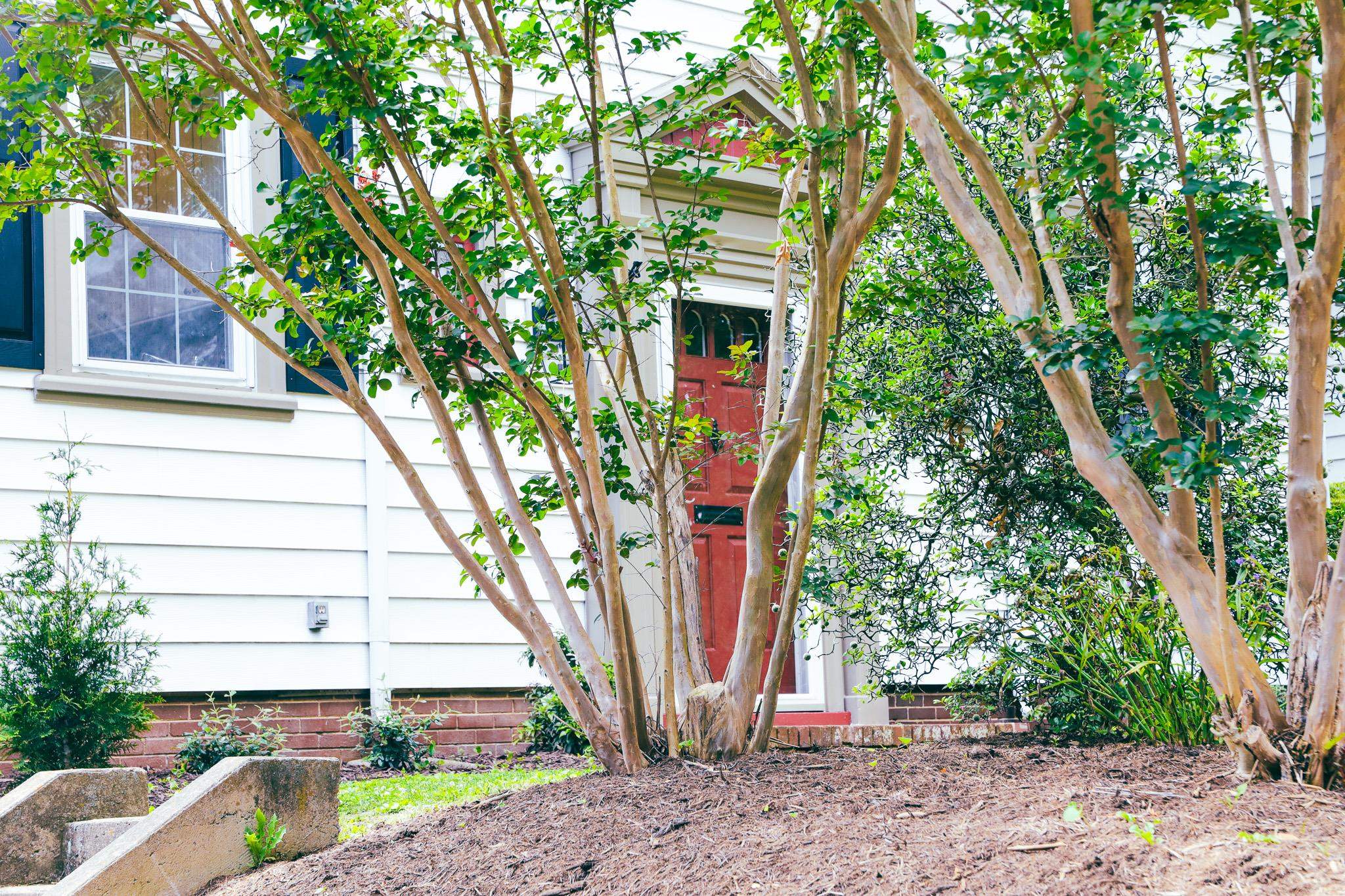 844 LYNDHURST RD, WAYNESBORO, Virginia 22980, 4 Bedrooms Bedrooms, ,1 BathroomBathrooms,Residential,844 LYNDHURST RD,665958 MLS # 665958