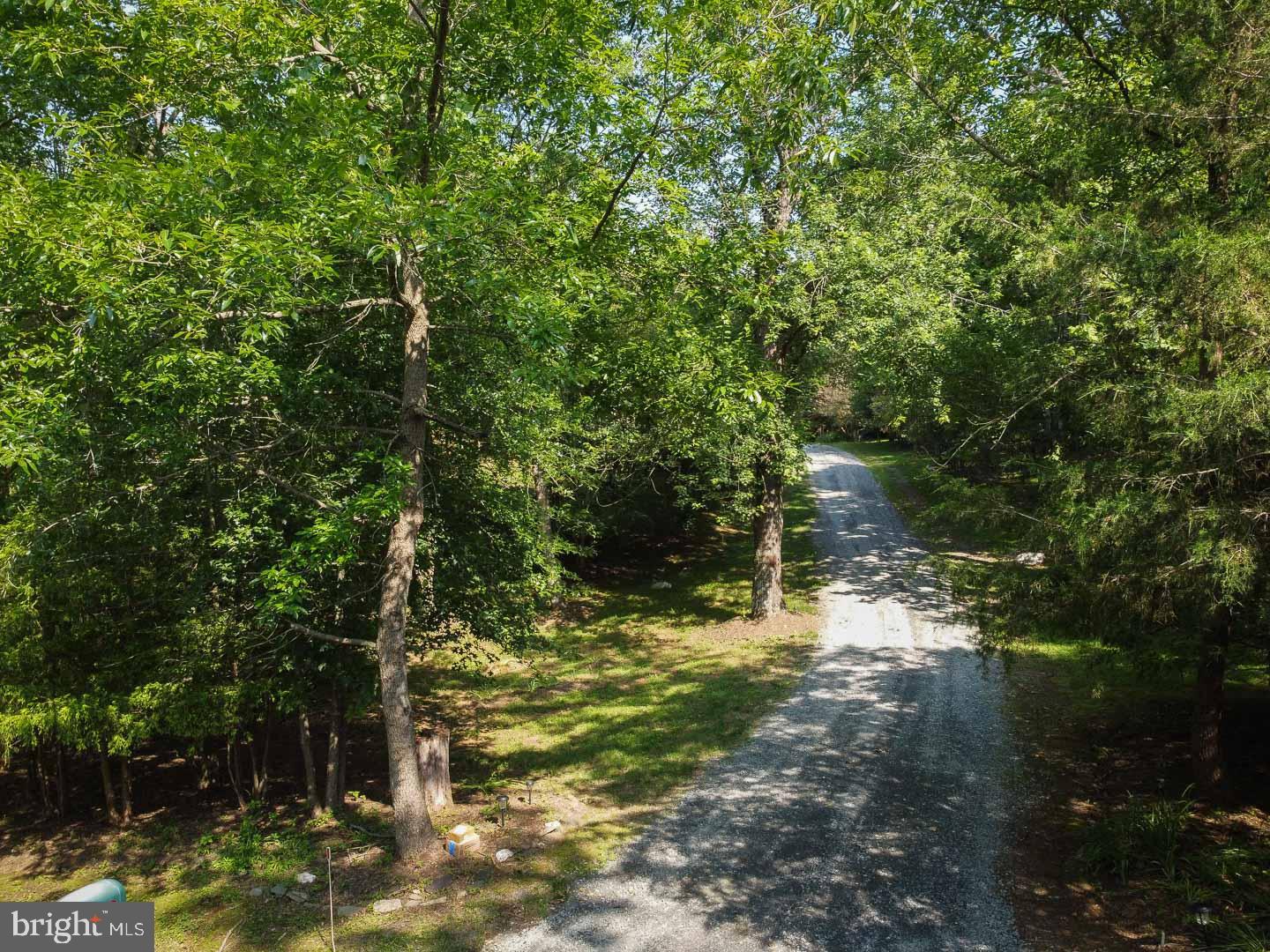432 LAUREL MILLS RD, CASTLETON, Virginia 22716, 4 Bedrooms Bedrooms, ,3 BathroomsBathrooms,Residential,For sale,432 LAUREL MILLS RD,VARP2002144 MLS # VARP2002144