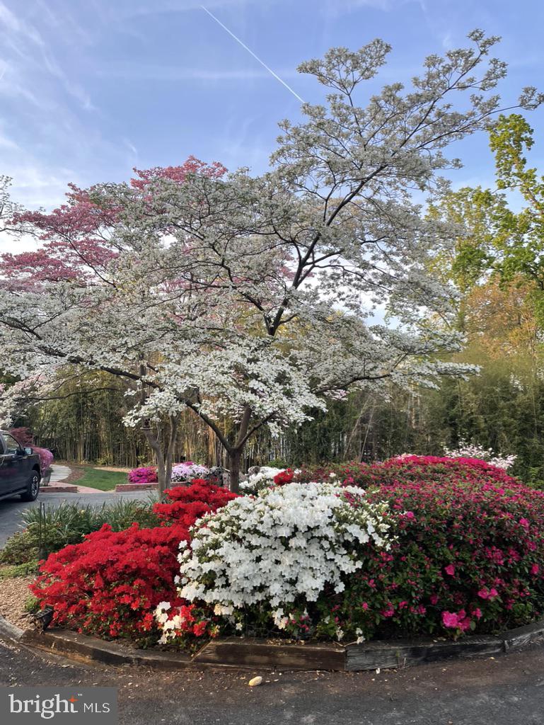 5632 GLENWOOD DR, ALEXANDRIA, Virginia 22310, 3 Bedrooms Bedrooms, ,2 BathroomsBathrooms,Residential,For sale,5632 GLENWOOD DR,VAFX2243888 MLS # VAFX2243888