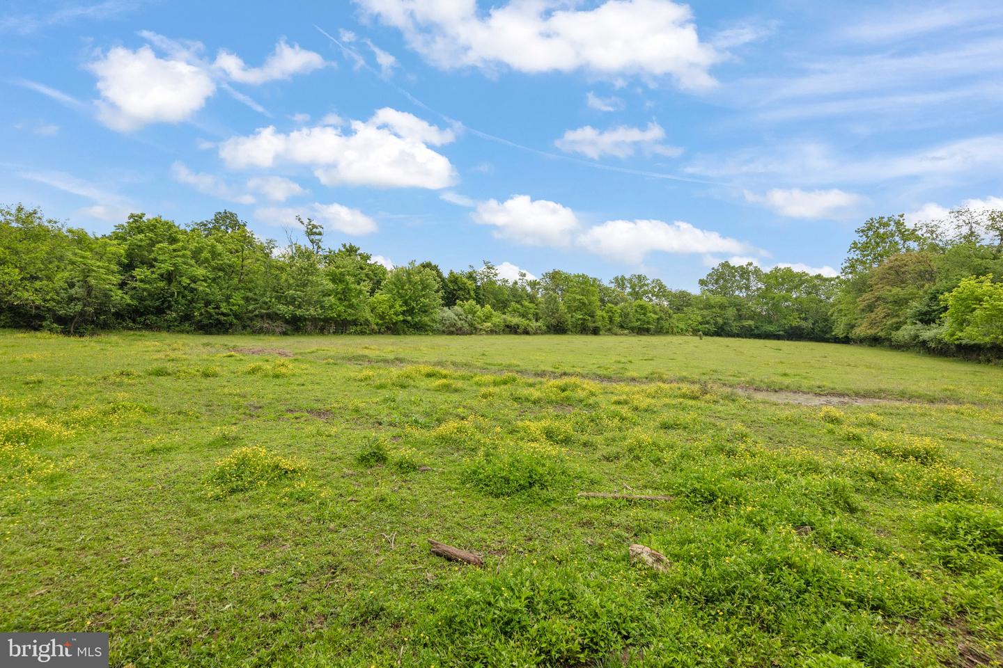 171 SINKING SPRING LN, GORE, Virginia 22637, 3 Bedrooms Bedrooms, ,2 BathroomsBathrooms,Residential,For sale,171 SINKING SPRING LN,VAFV2034740 MLS # VAFV2034740