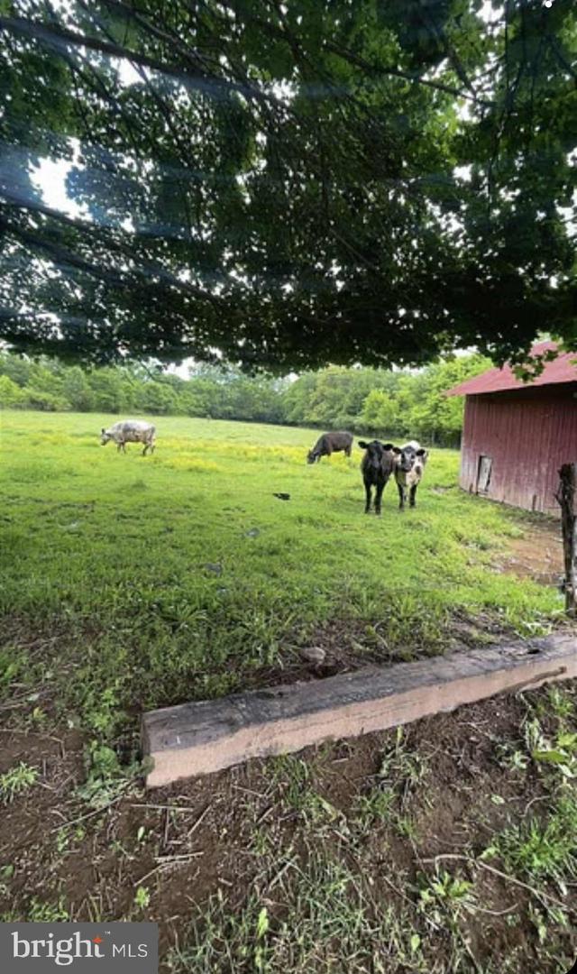 171 SINKING SPRING LN, GORE, Virginia 22637, 3 Bedrooms Bedrooms, ,2 BathroomsBathrooms,Residential,For sale,171 SINKING SPRING LN,VAFV2034740 MLS # VAFV2034740