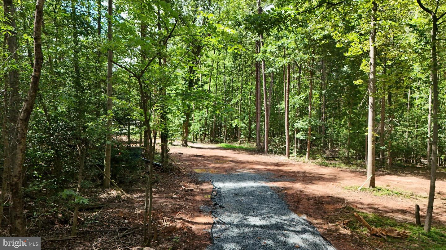 28493 TATUM RD, UNIONVILLE, Virginia 22567, ,Land,For sale,28493 TATUM RD,VAOR2009996 MLS # VAOR2009996
