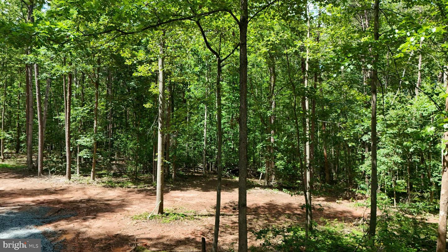 28493 TATUM RD, UNIONVILLE, Virginia 22567, ,Land,For sale,28493 TATUM RD,VAOR2009996 MLS # VAOR2009996