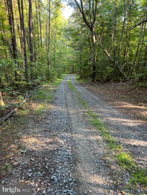 CHILESBURG RD, BEAVERDAM, Virginia 23015, ,Land,For sale,CHILESBURG RD,VACV2008350 MLS # VACV2008350